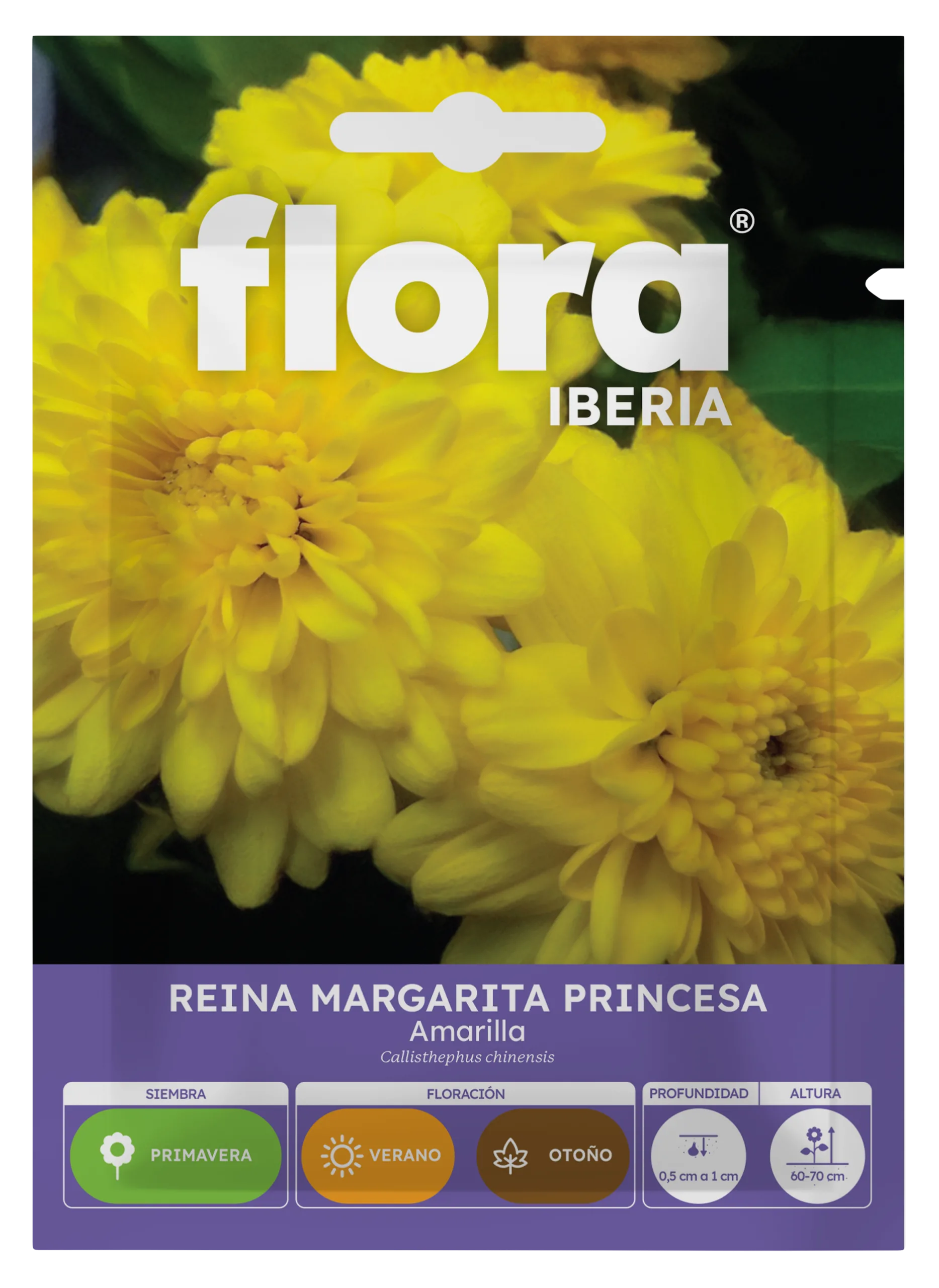 IA65373BOLS - Reina Margarita Princesa Amarilla