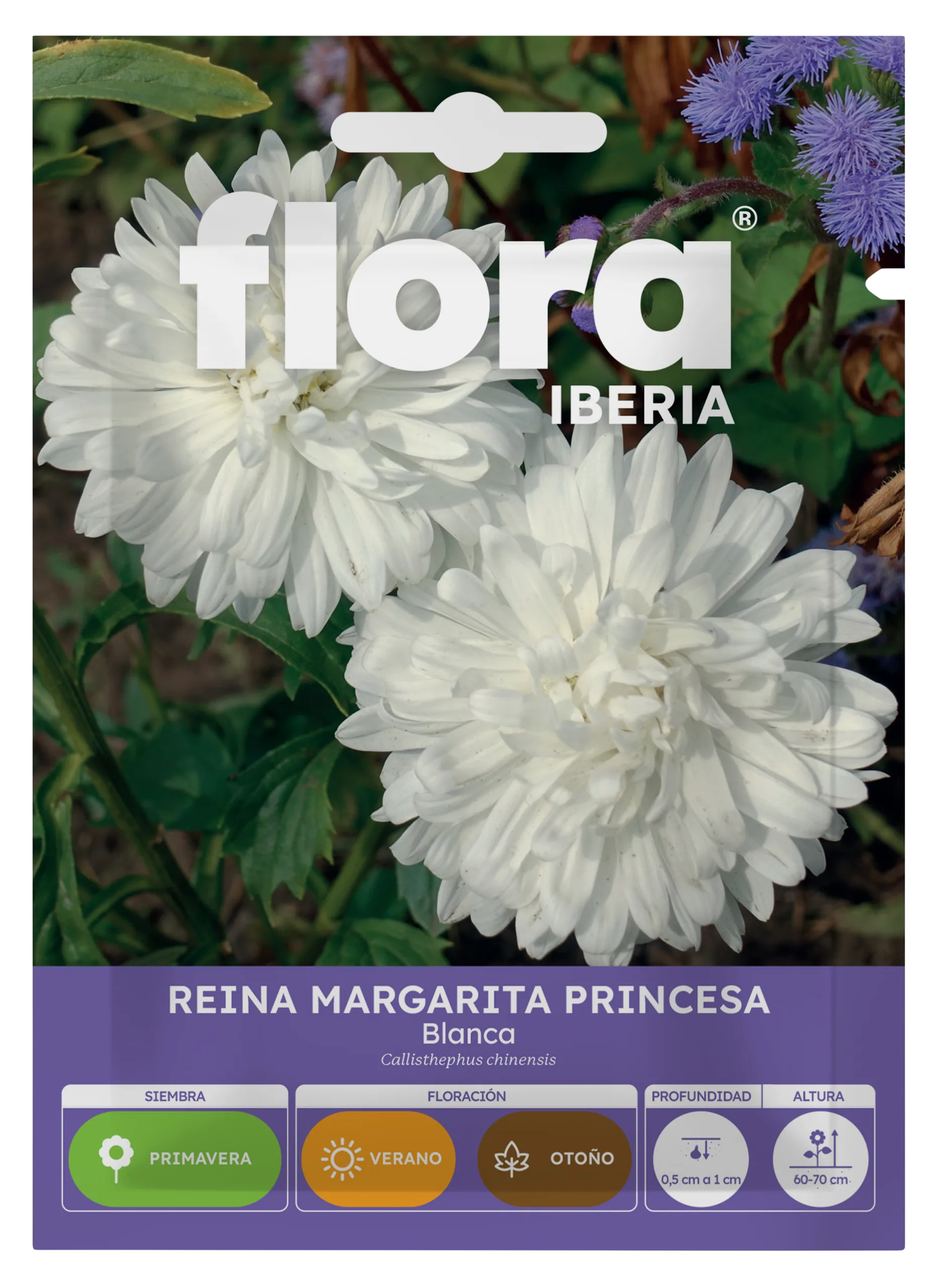 IA65374BOLS - Reina Margarita Princesa Blanca