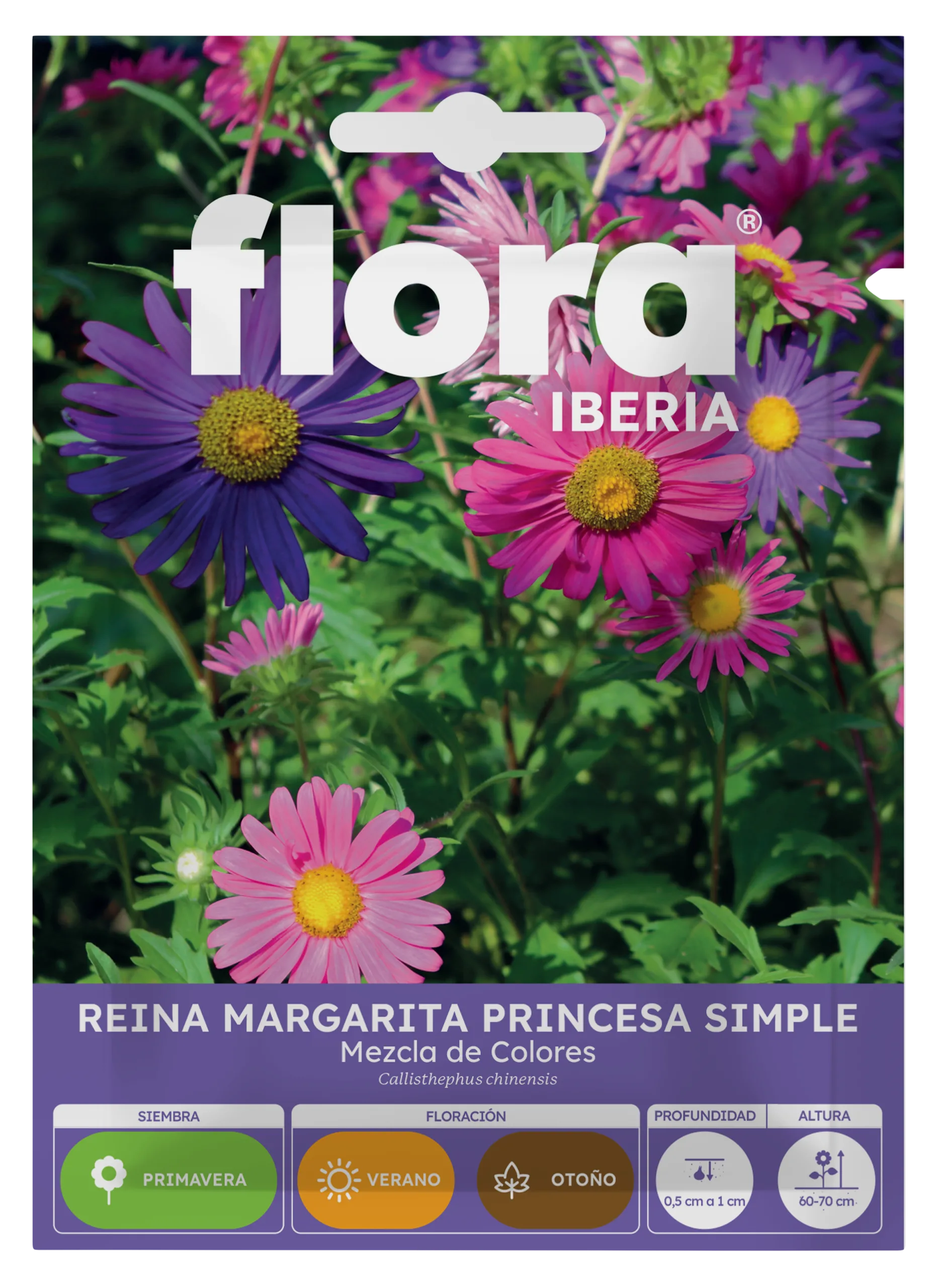 IA65380BOLS - Reina Margarita Princesa Simple Variada