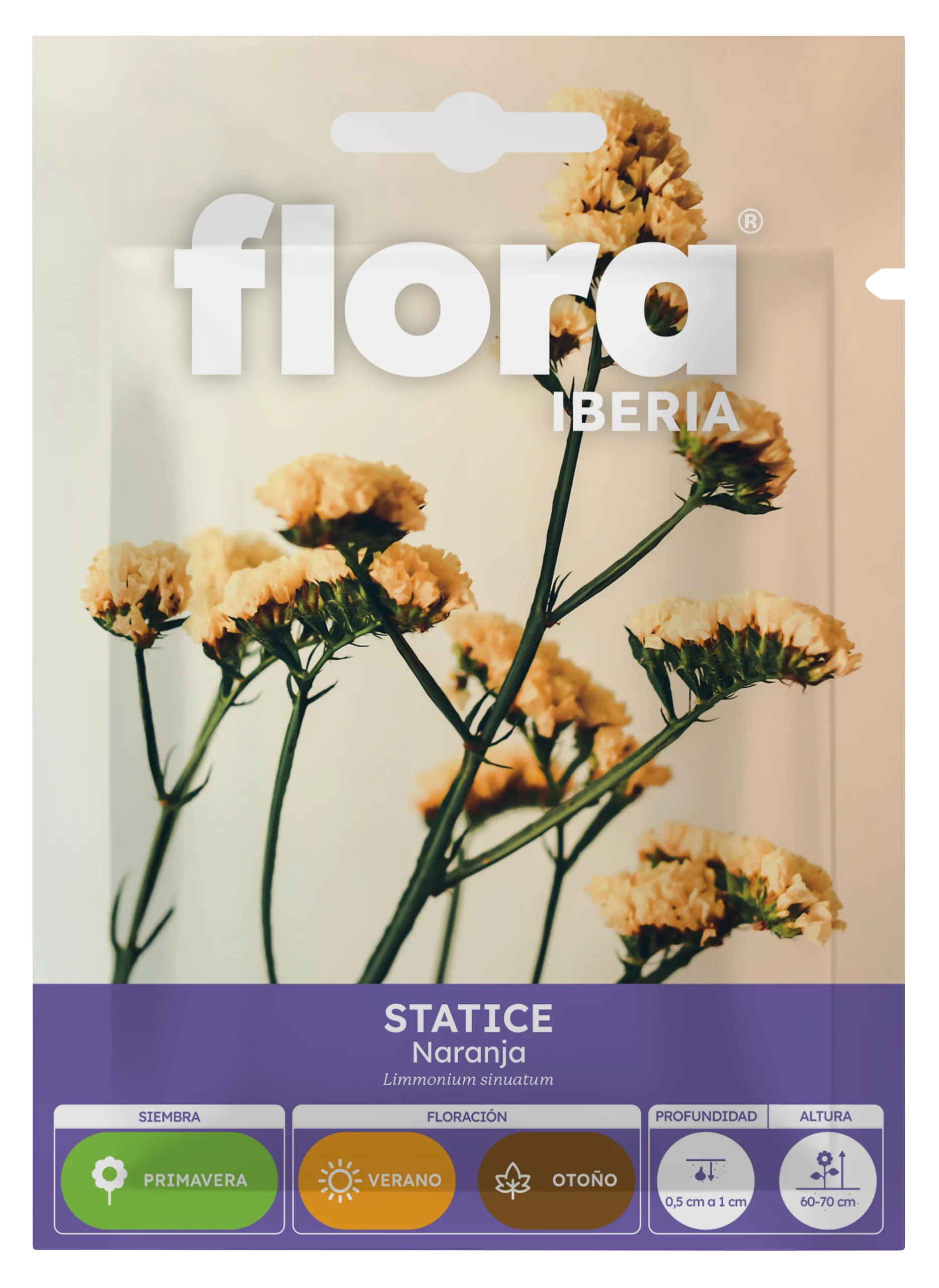 IA65410BOLS - Statice Naranja