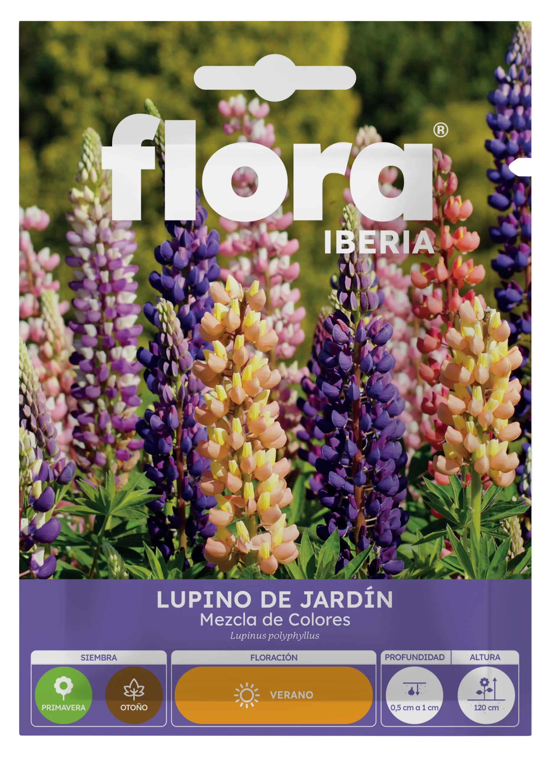 IA65425BOLS - Lupino de Jardín Variado