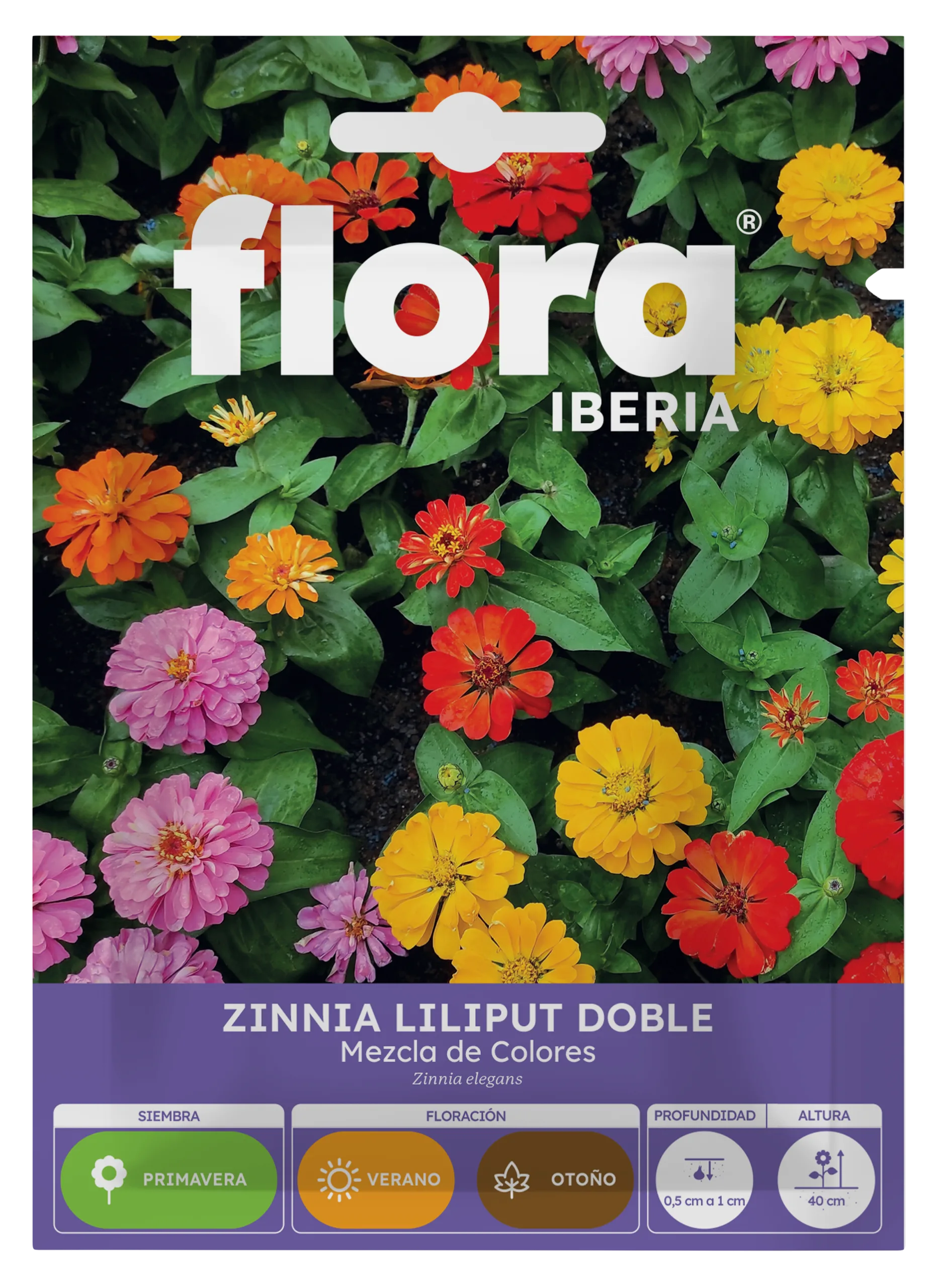 IA65450BOLS - Zinnia Liliput Doble Variada