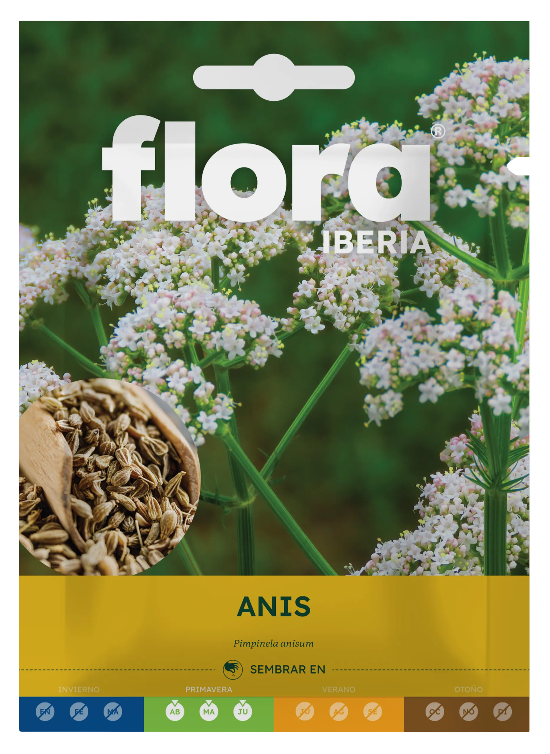 IA65520BOLS - Anis