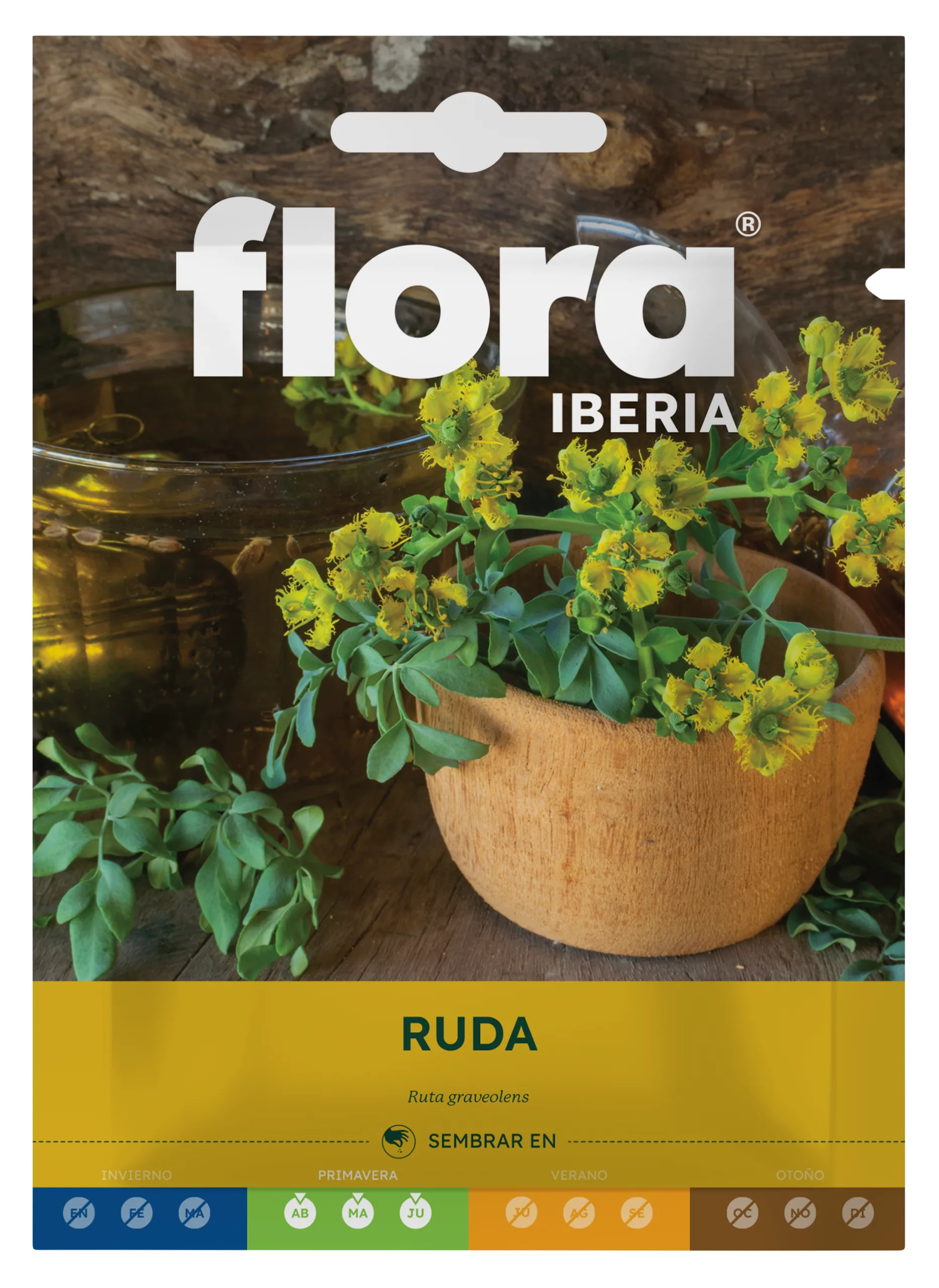 IA65525BOLS - Ruda