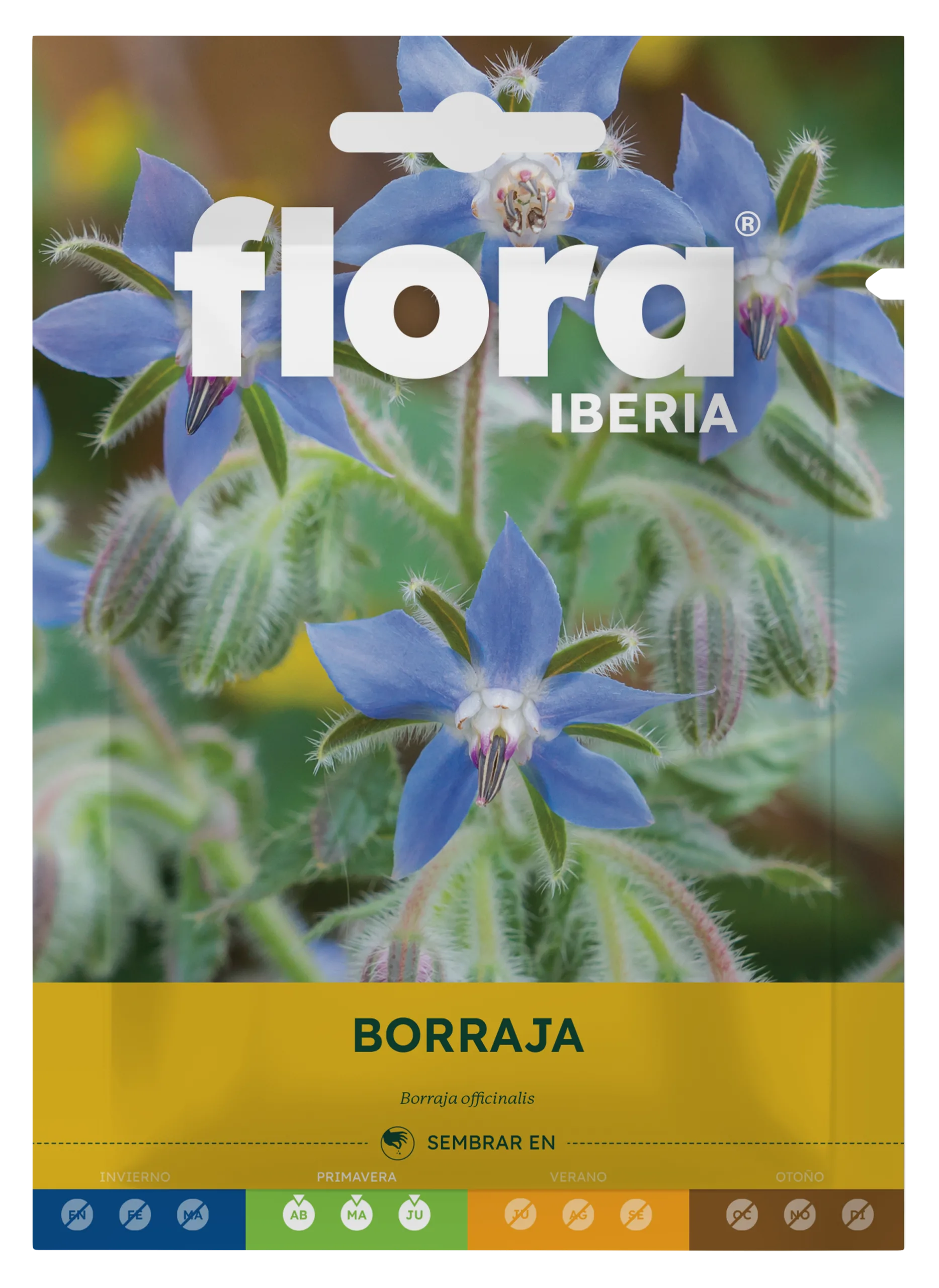 IA65535BOLS - Borraja