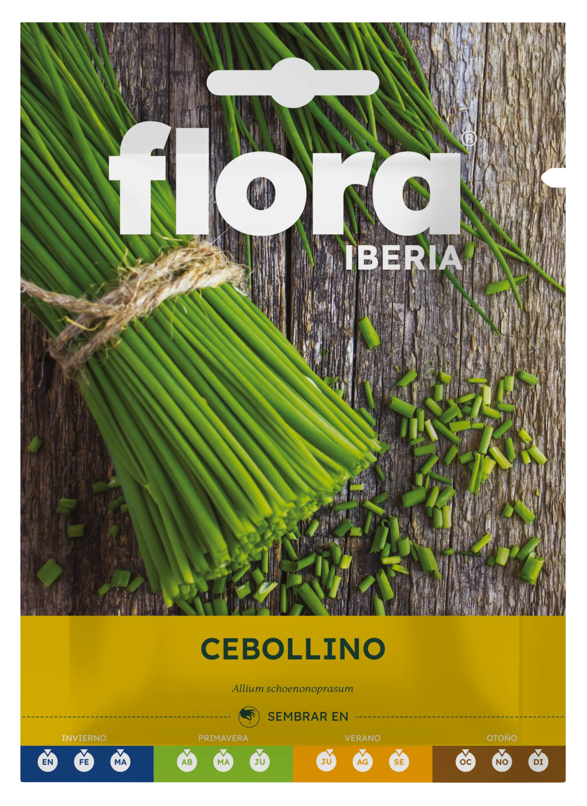 IA65545BOLS - Cebollino