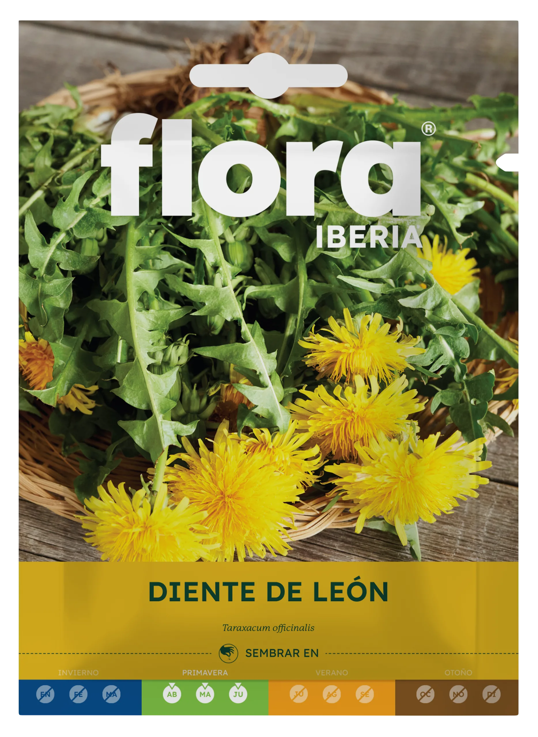 IA65555BOLS - Diente de León