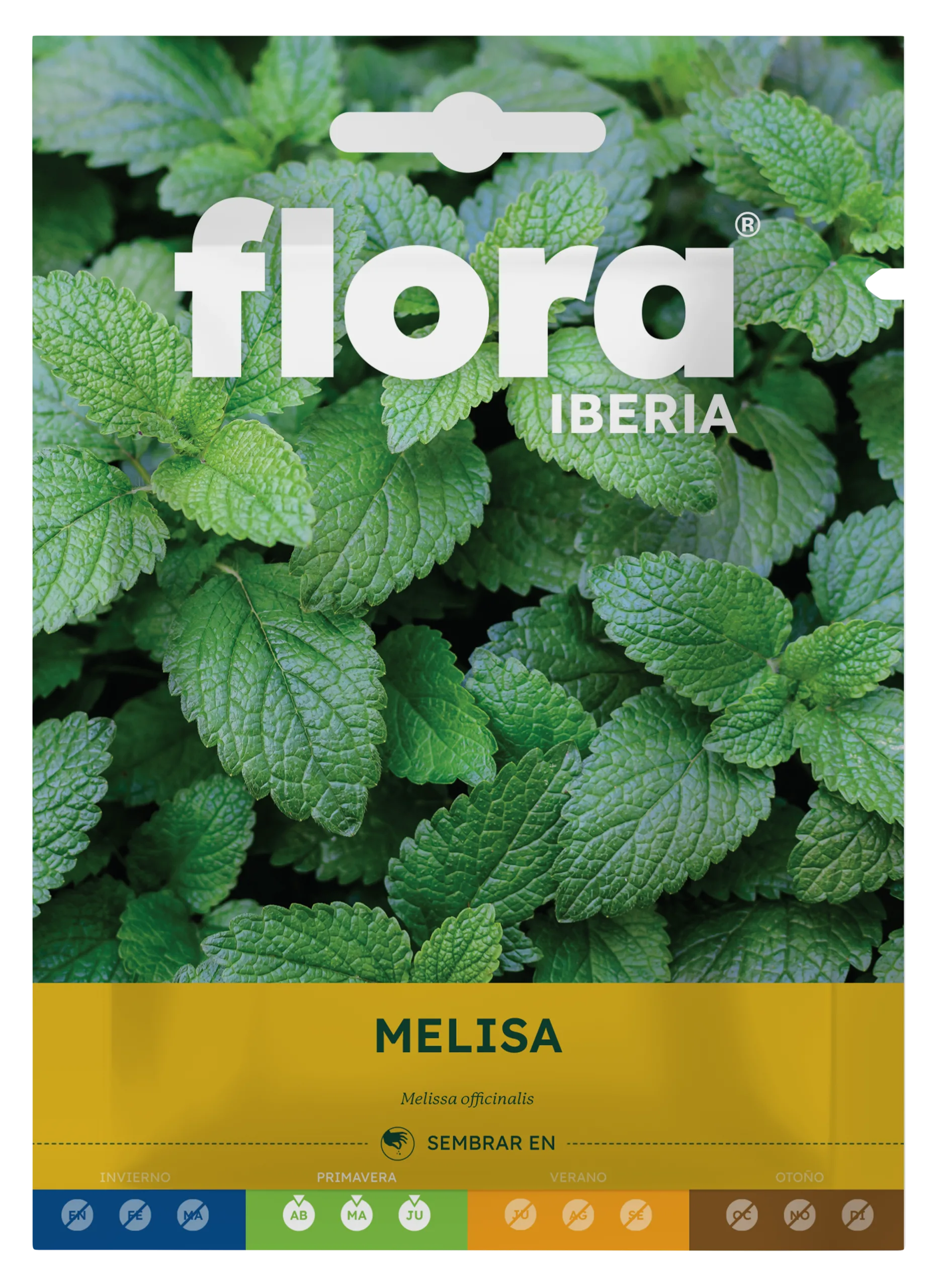 IA65560BOLS - Melisa