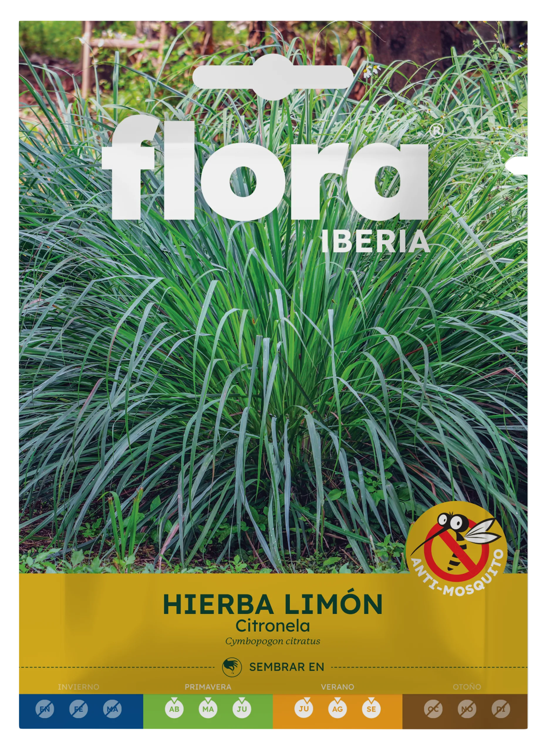 IA65566BOLS - Hierba Limón Citronela