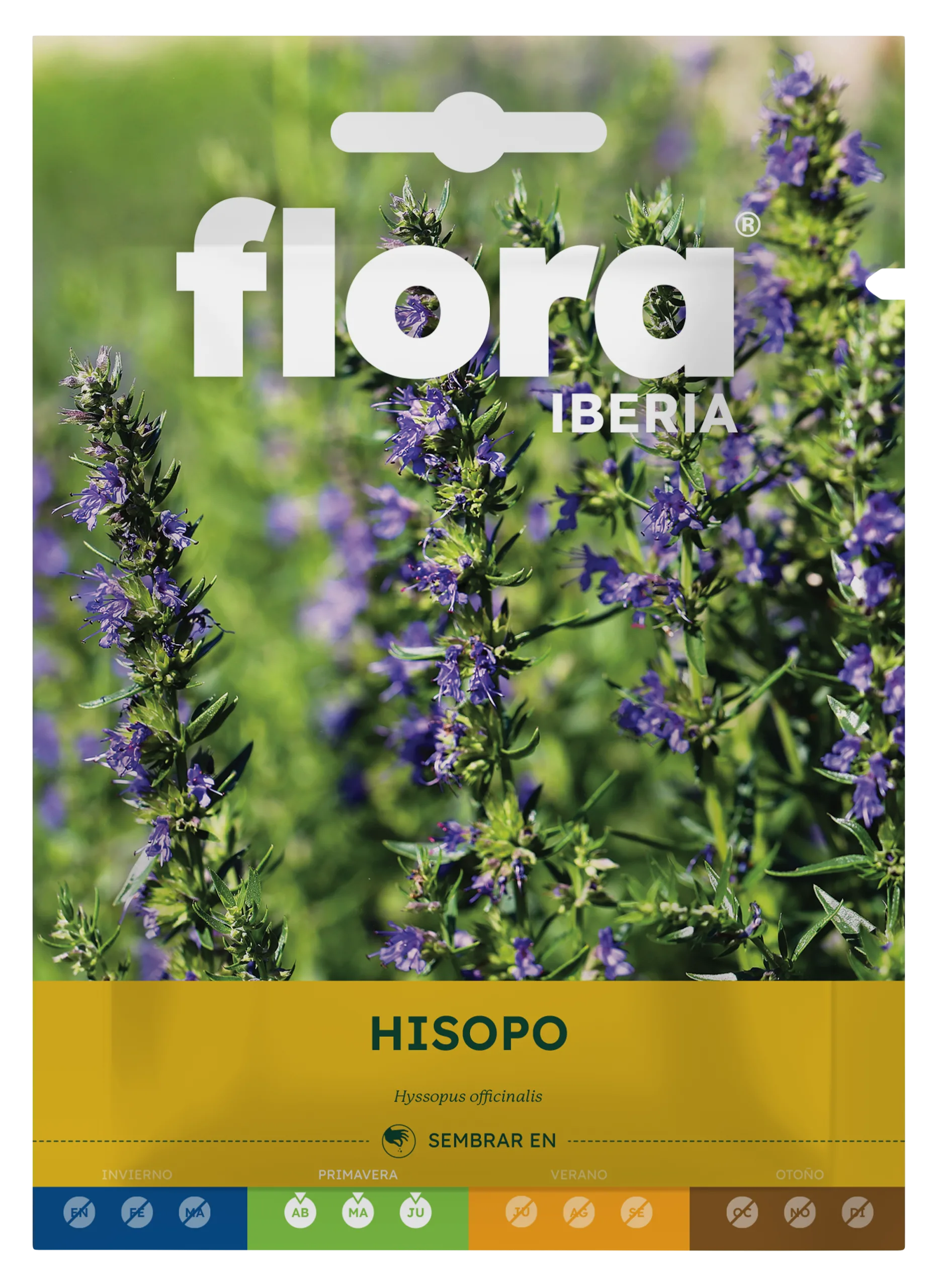 IA65584BOLS - Hisopo