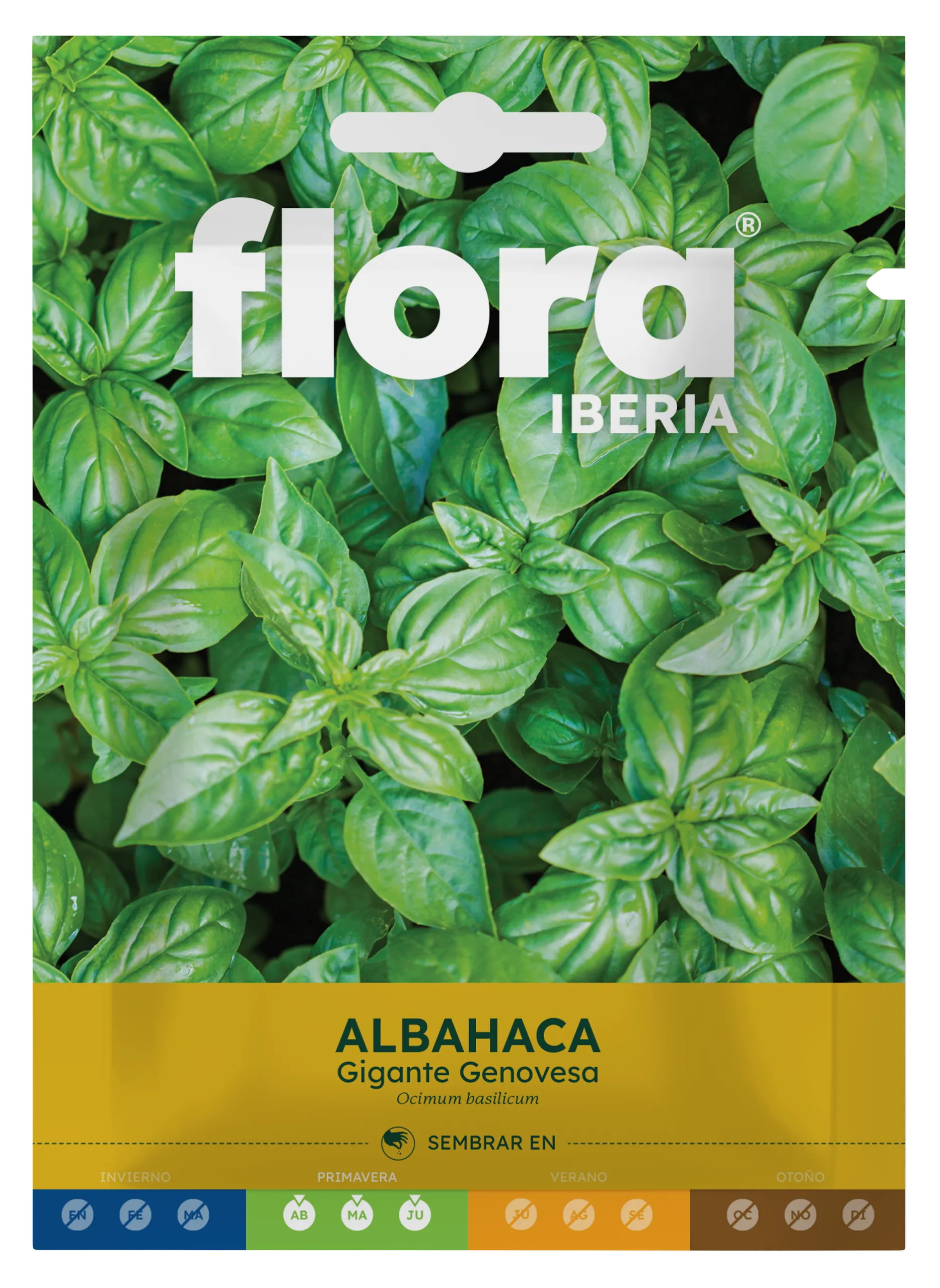 IA65585BOLS - Albahaca Gigante Genovesa
