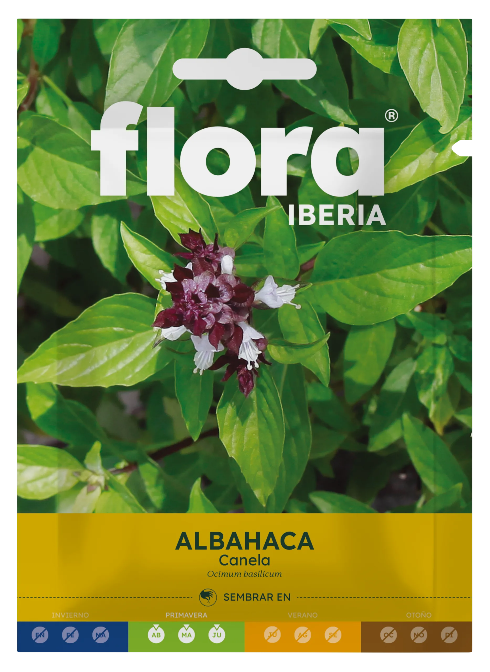 IA65586BOLS - Albahaca Canela