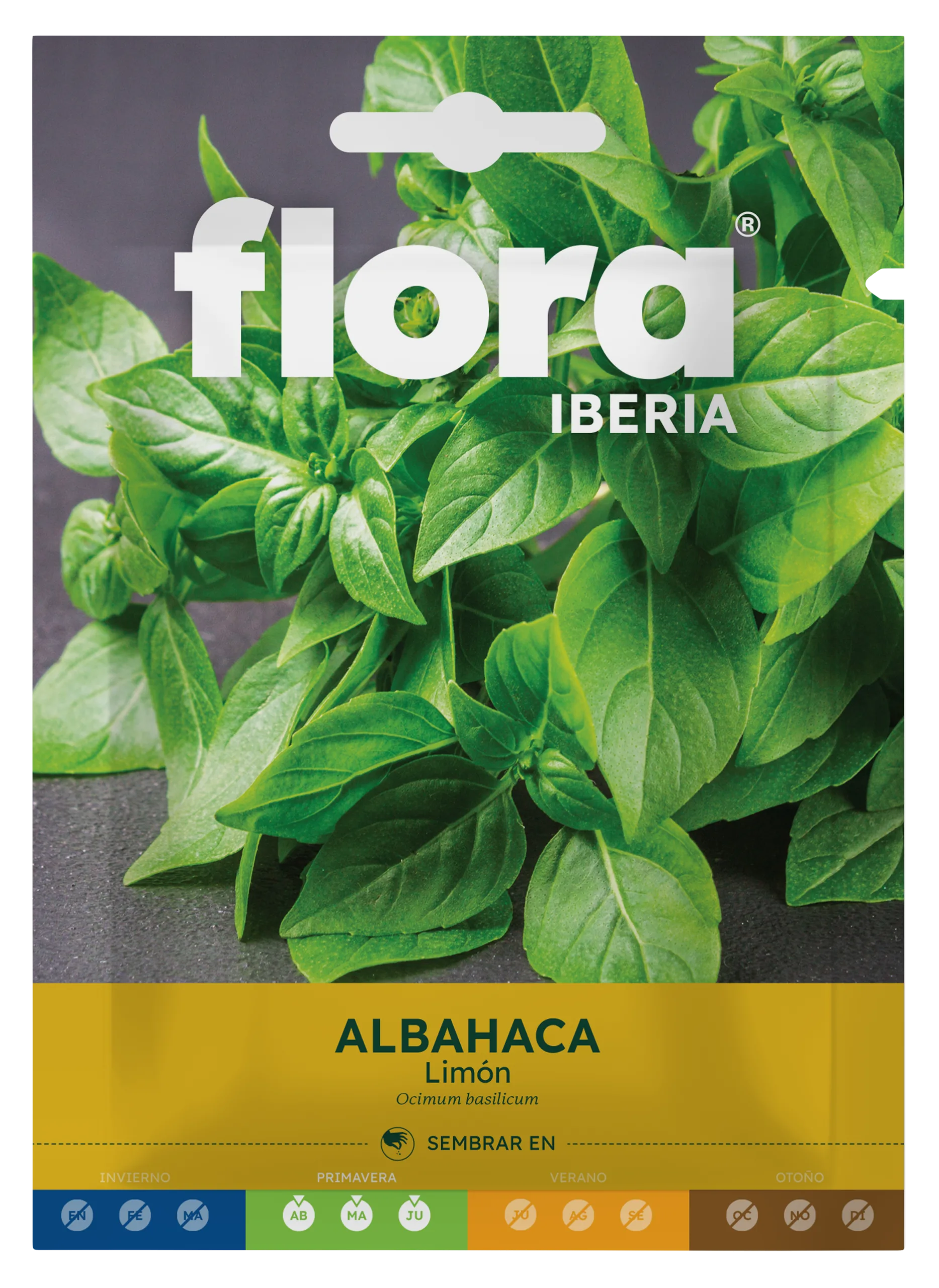 IA65587BOLS - Albahaca Limón