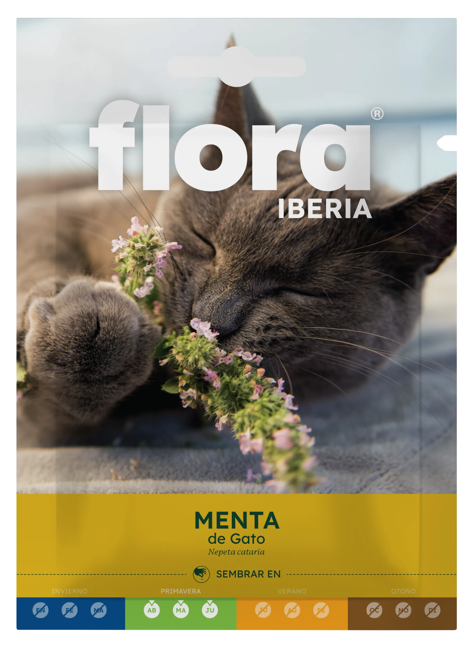 IA65596BOLS - Menta de Gato