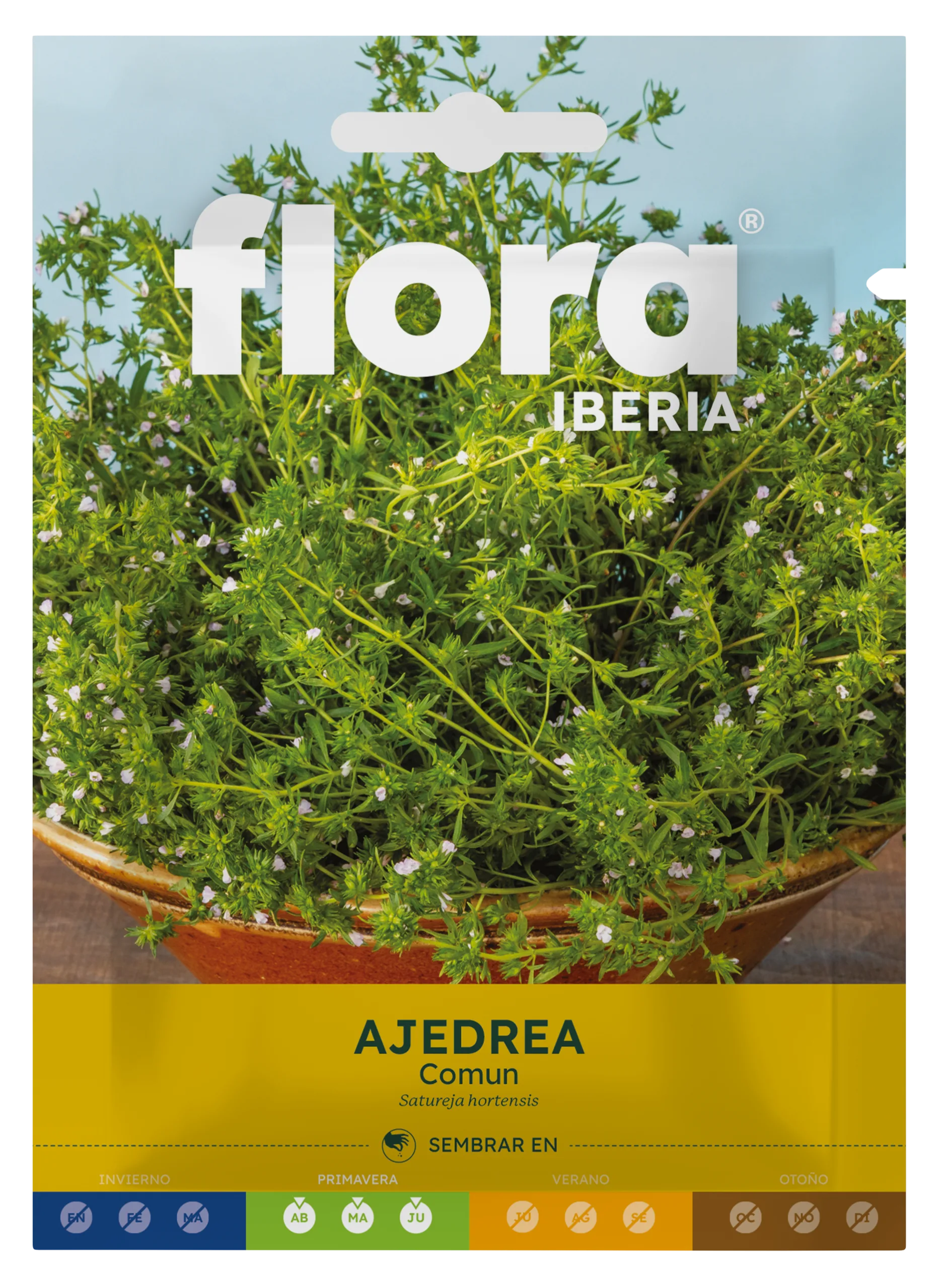 IA65610BOLS - Ajedrea Común