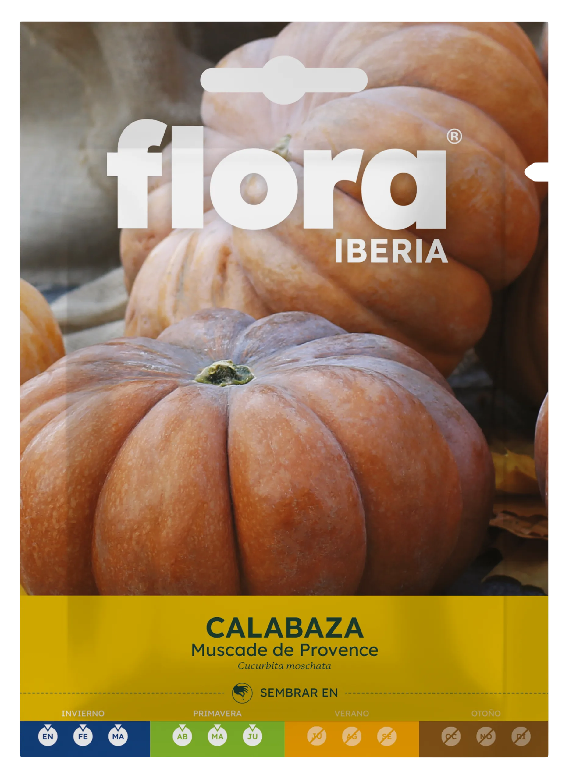 IC01014BOLS - Calabaza Muscade de Provence