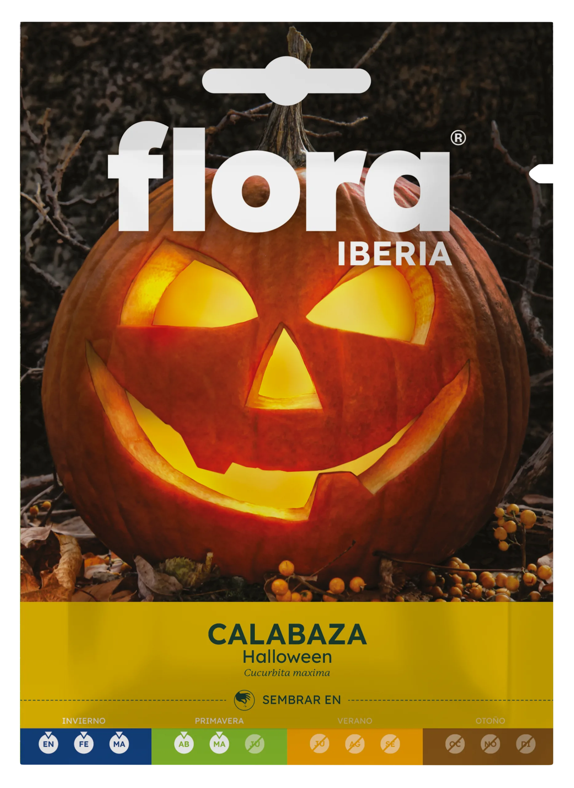 IC01022BOLS - Calabaza Halloween
