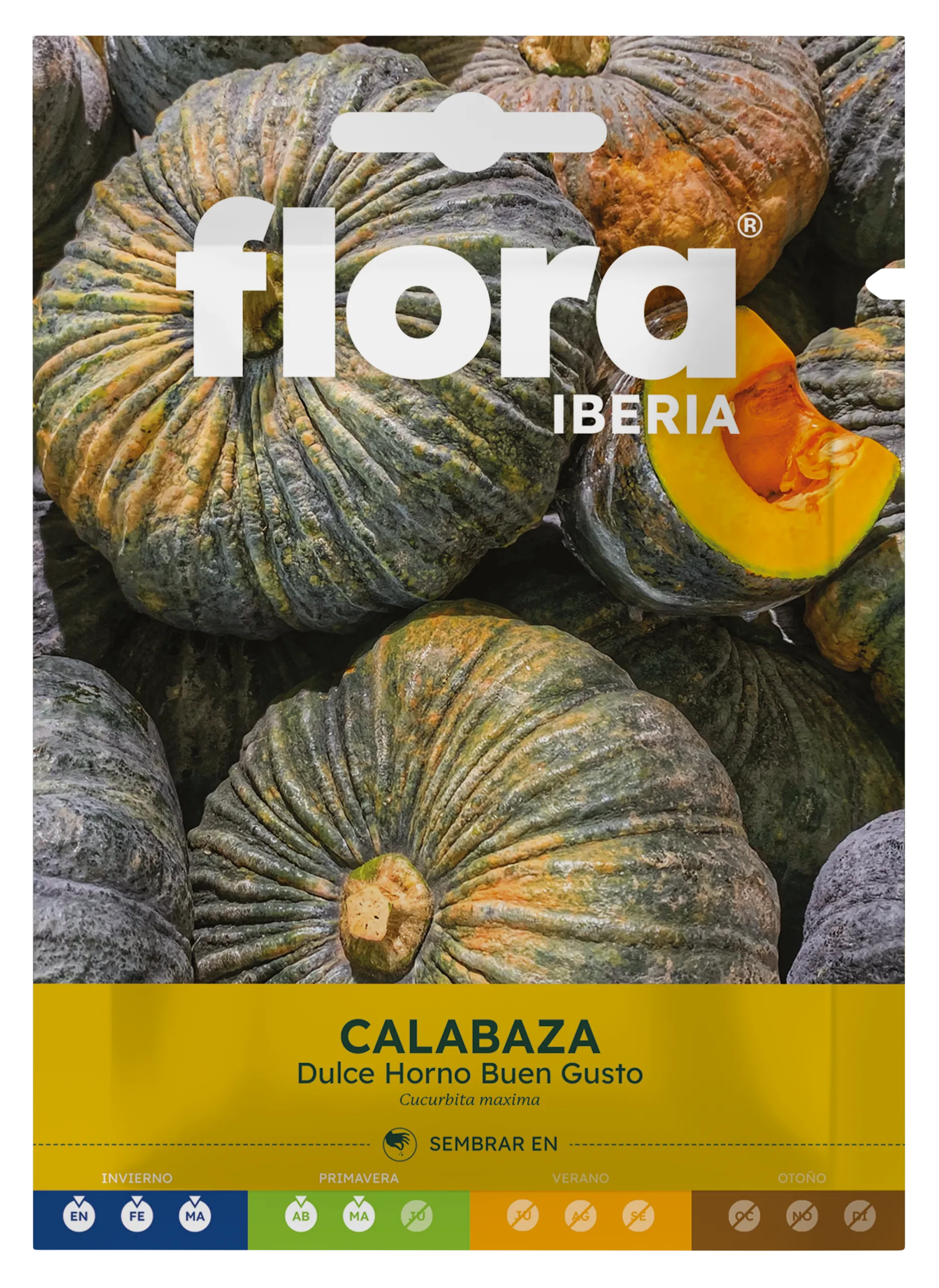 IC01023BOLS - Calabaza Dulce Horno Buen Gusto