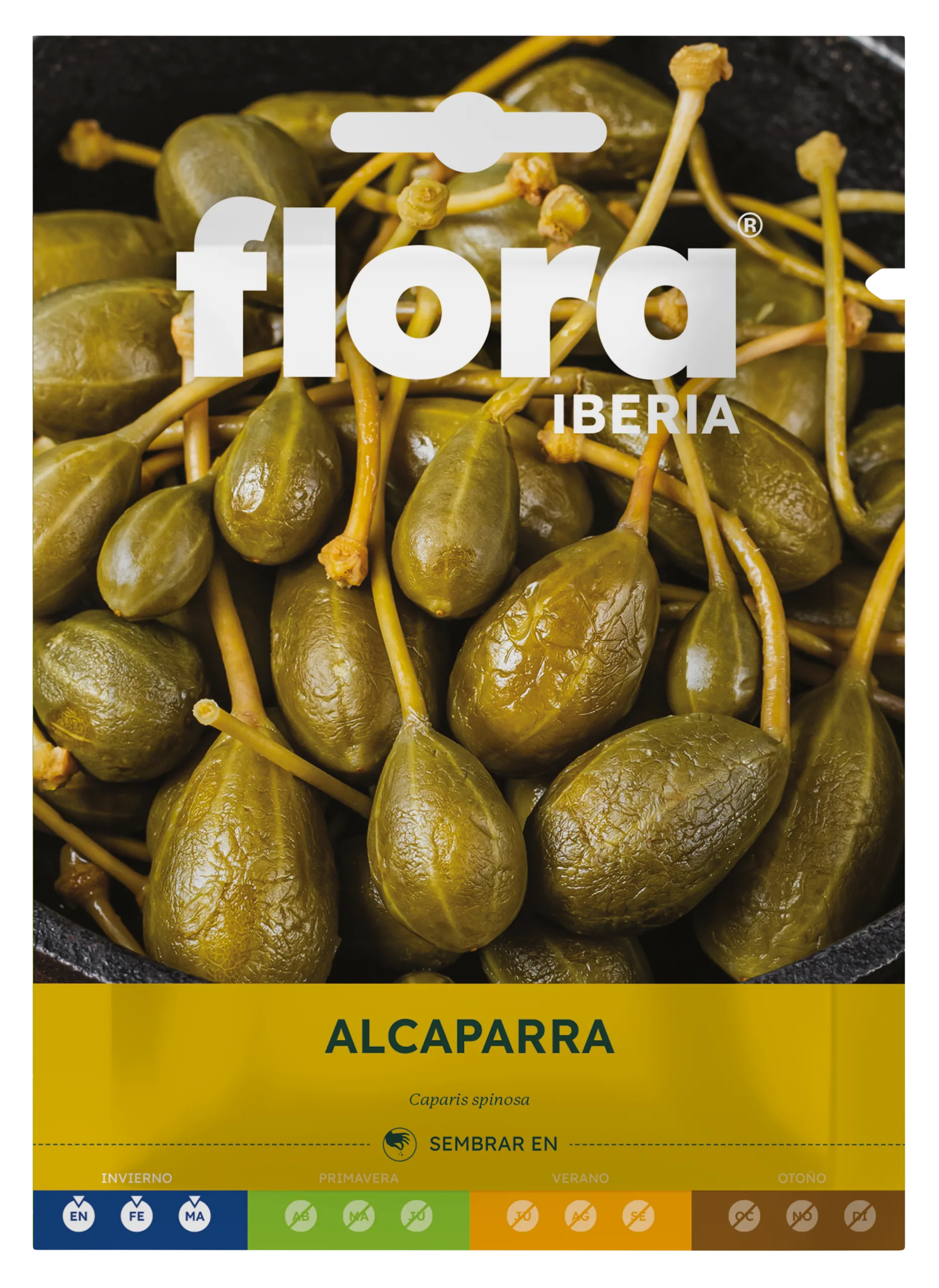 IC01065BOLS - Alcaparra