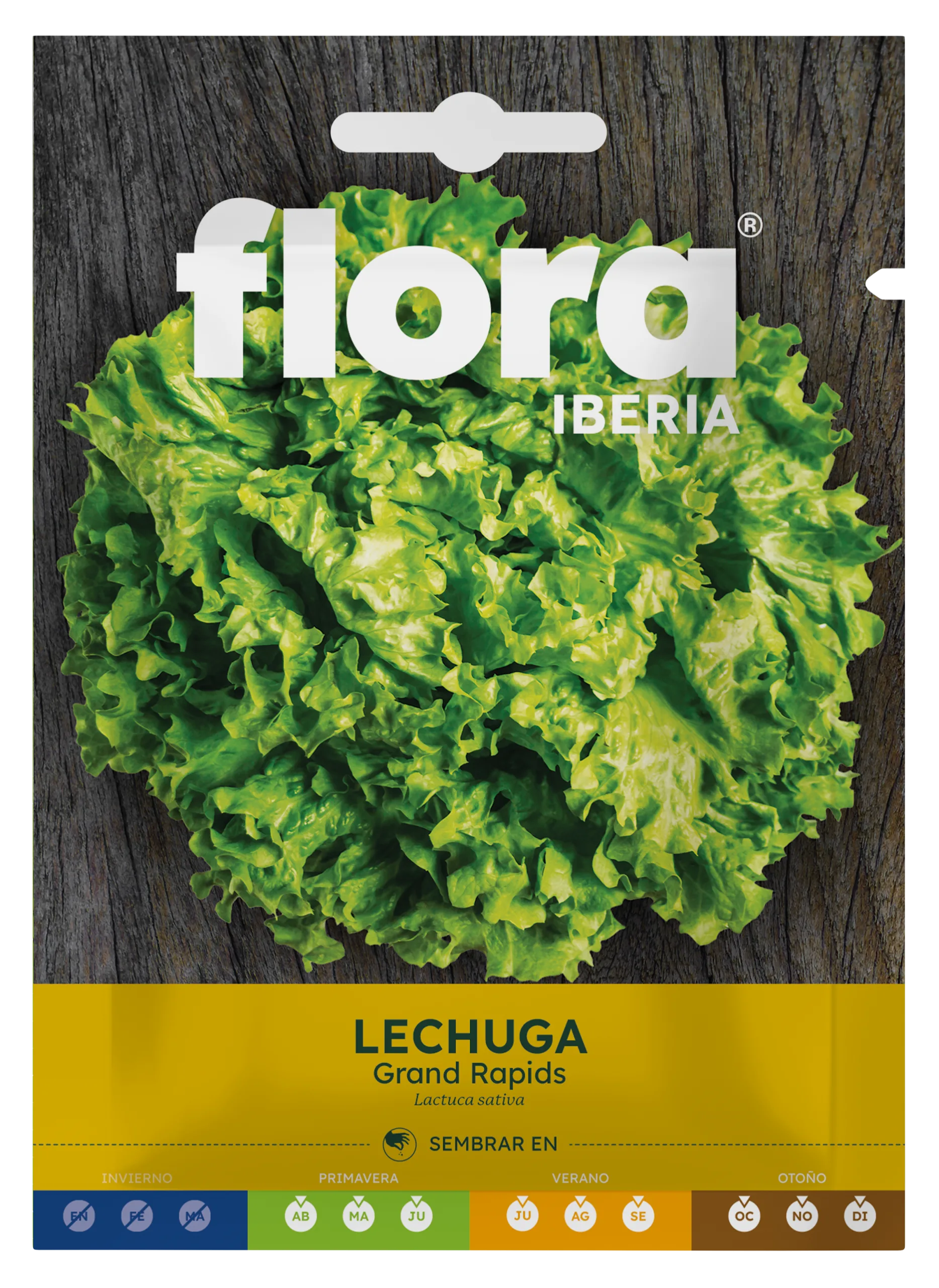 IC01073BOLS - Lechuga Grand Rapids