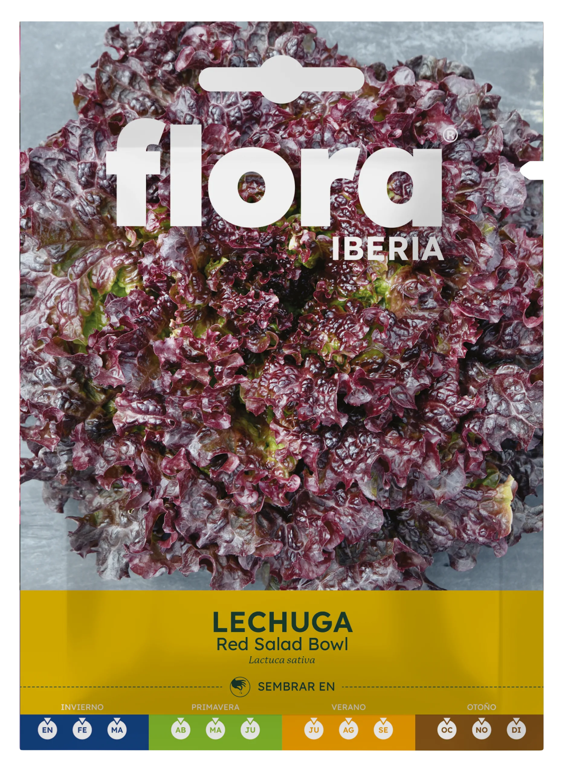 IC01076BOLS - Lechuga Red Salad Bowl