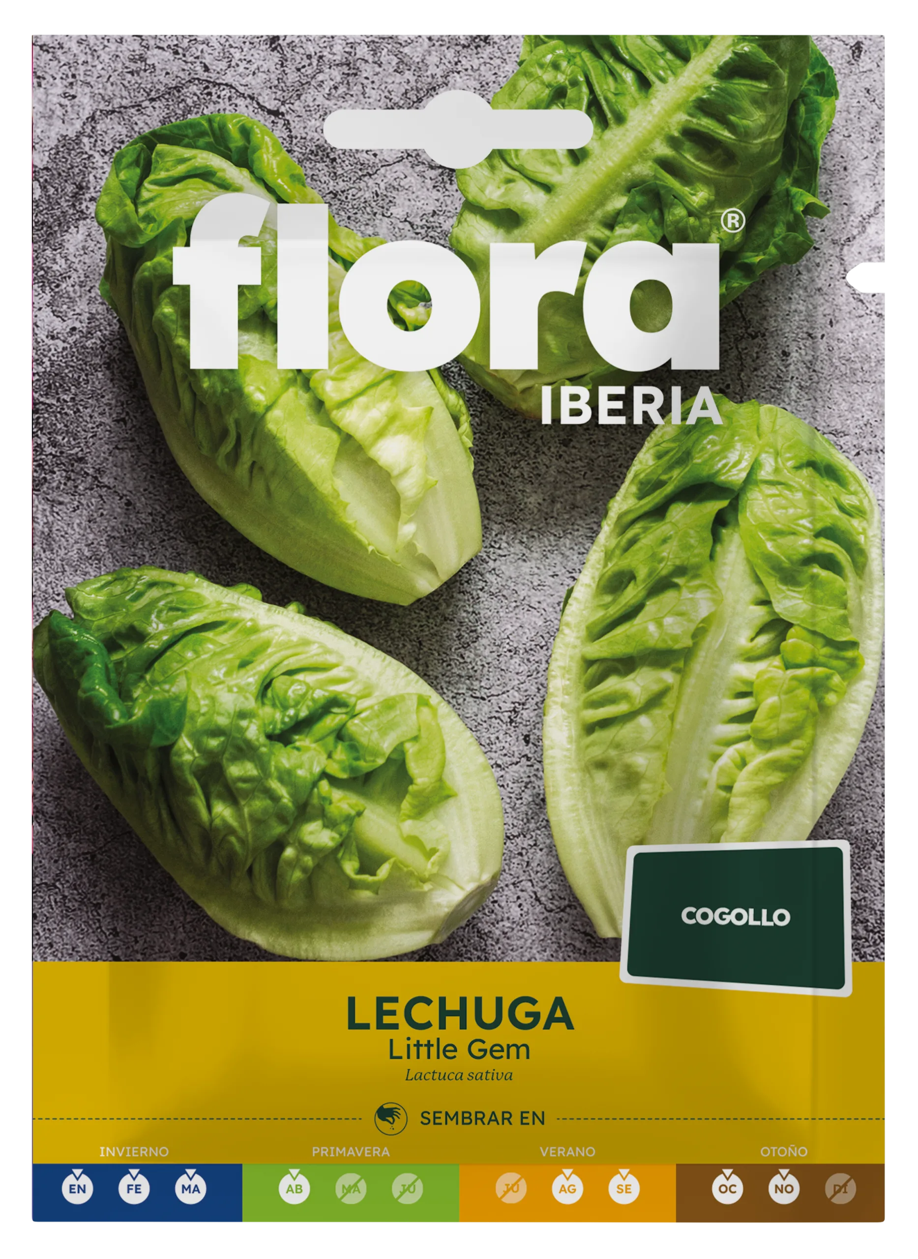 IC01089BOLS - Lechuga Little Gem
