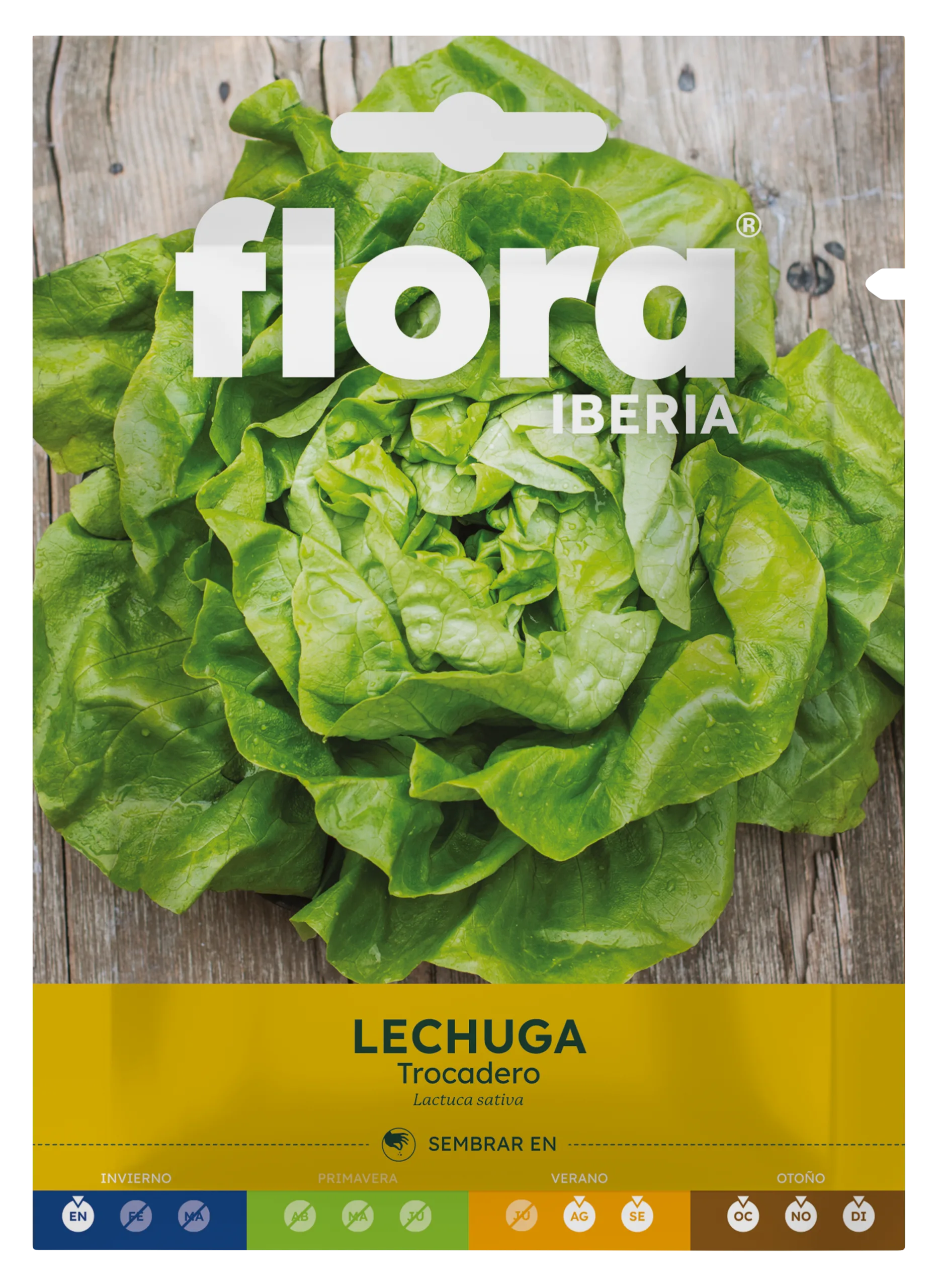 IC01092BOLS - Lechuga Trocadero