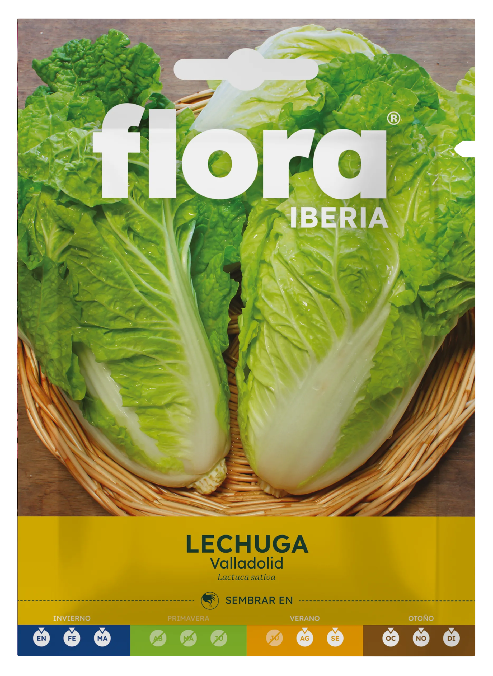 IC01093BOLS - Lechuga Valladolid