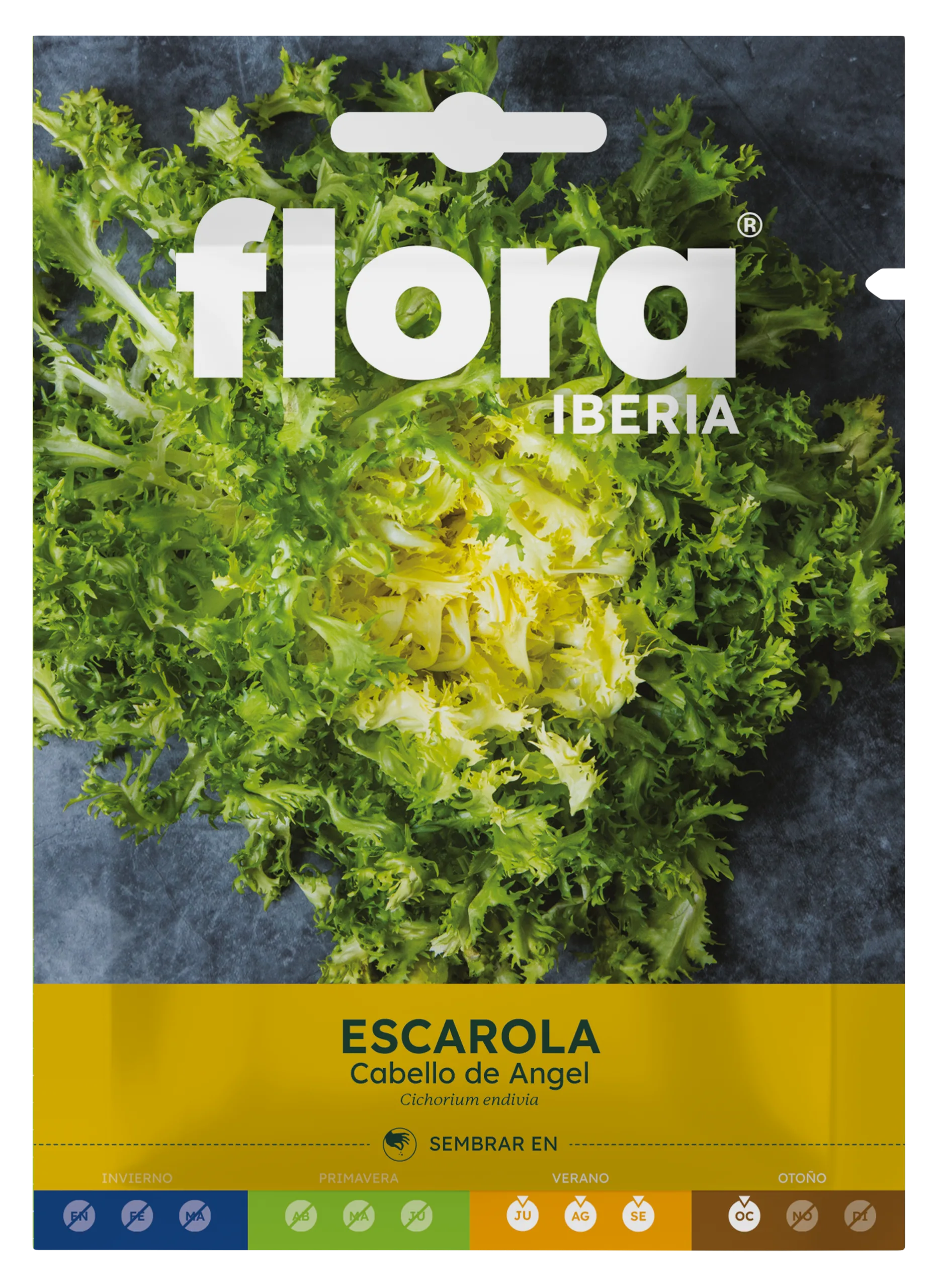 IC01112BOLS - Escarola Cabello de Angel
