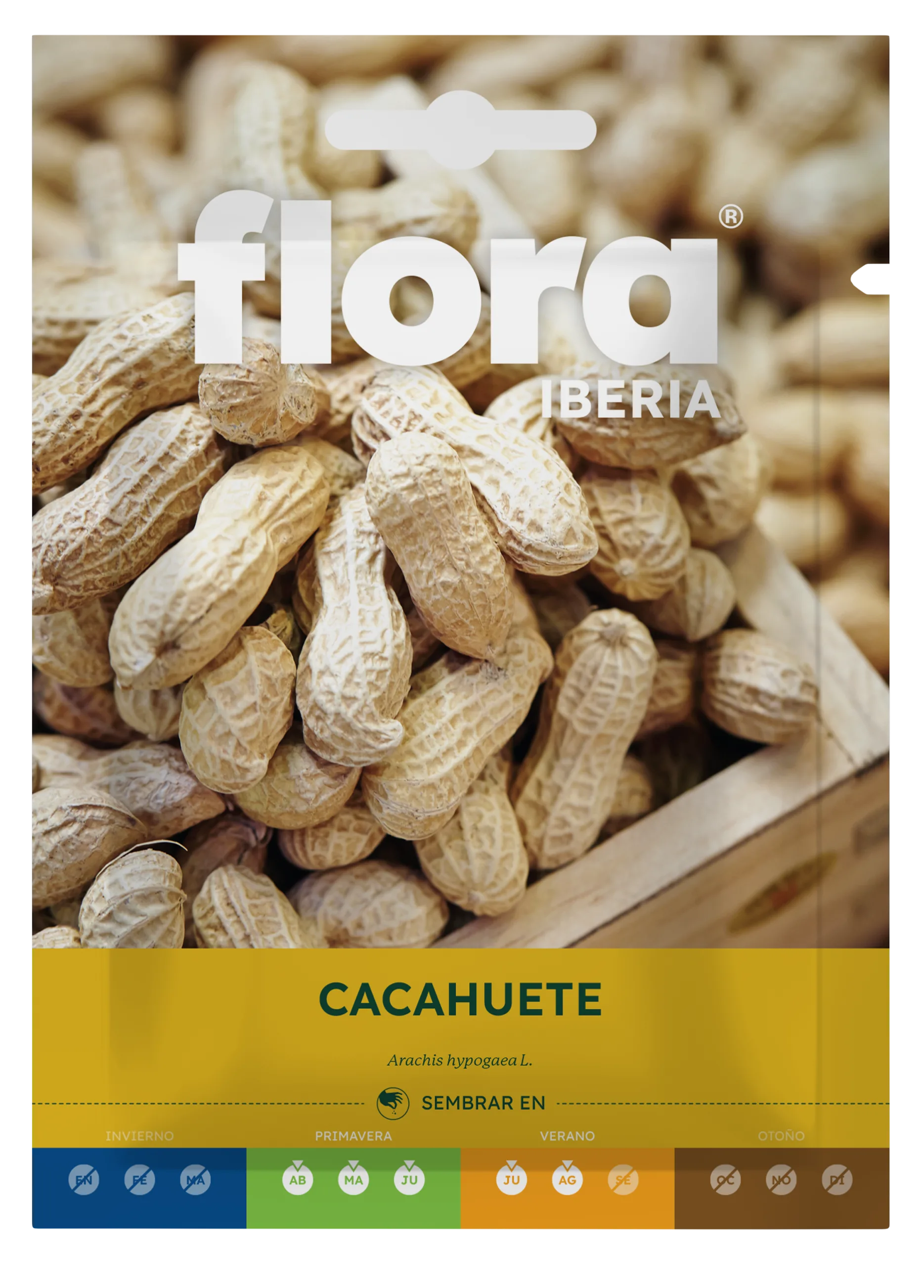 IC01117BOLS - Cacahuete