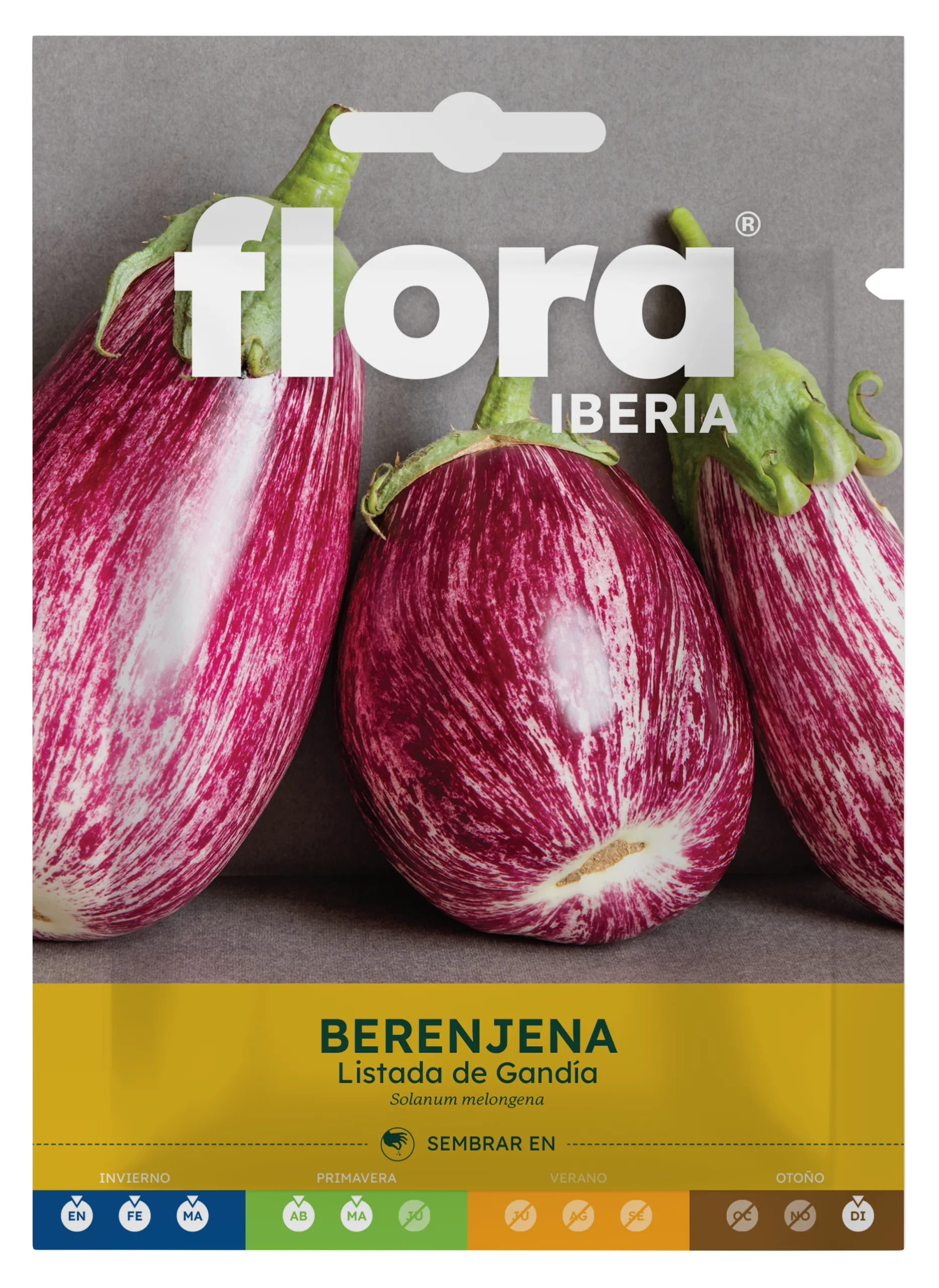 IC01123BOLS - Berenjena Listada de Gandía