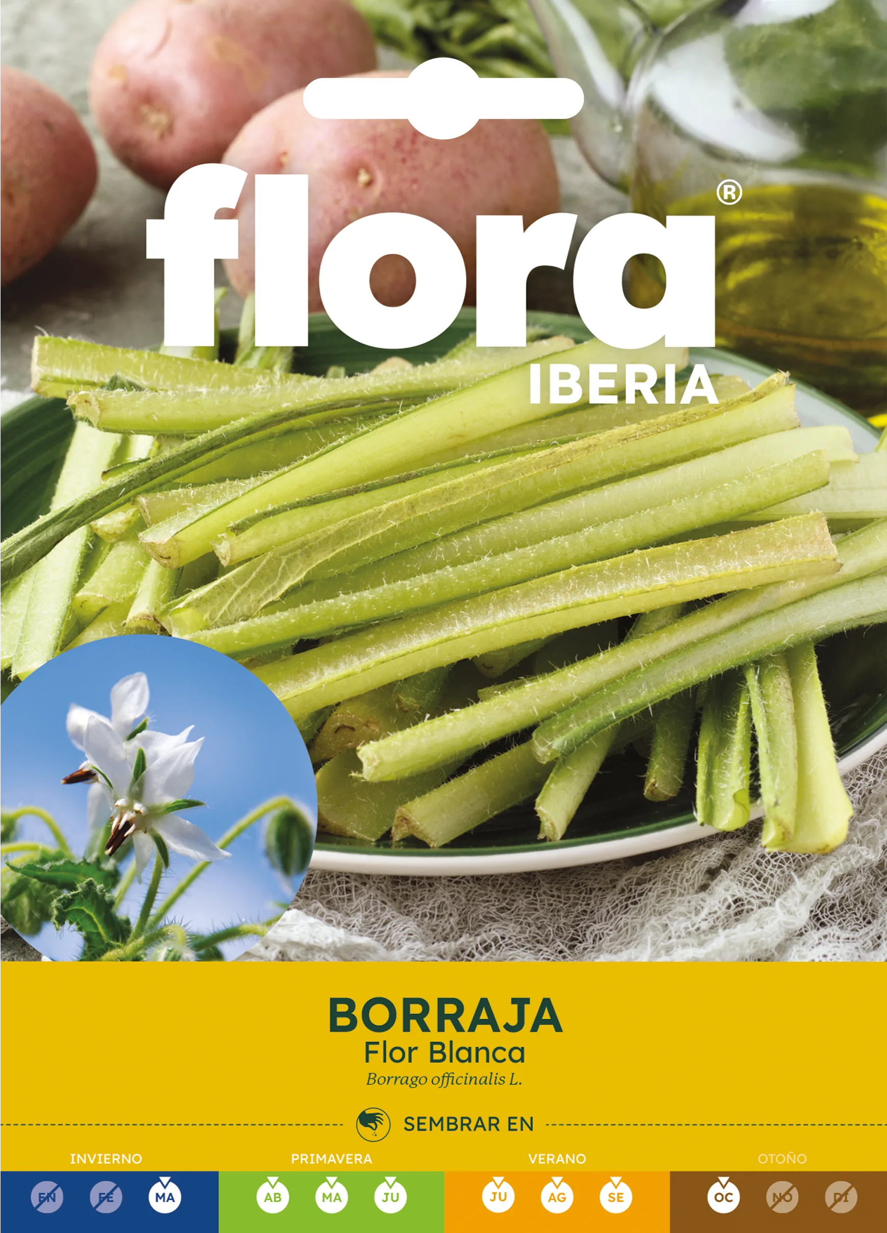 IC01129BOLS - Borraja Flor Blanca