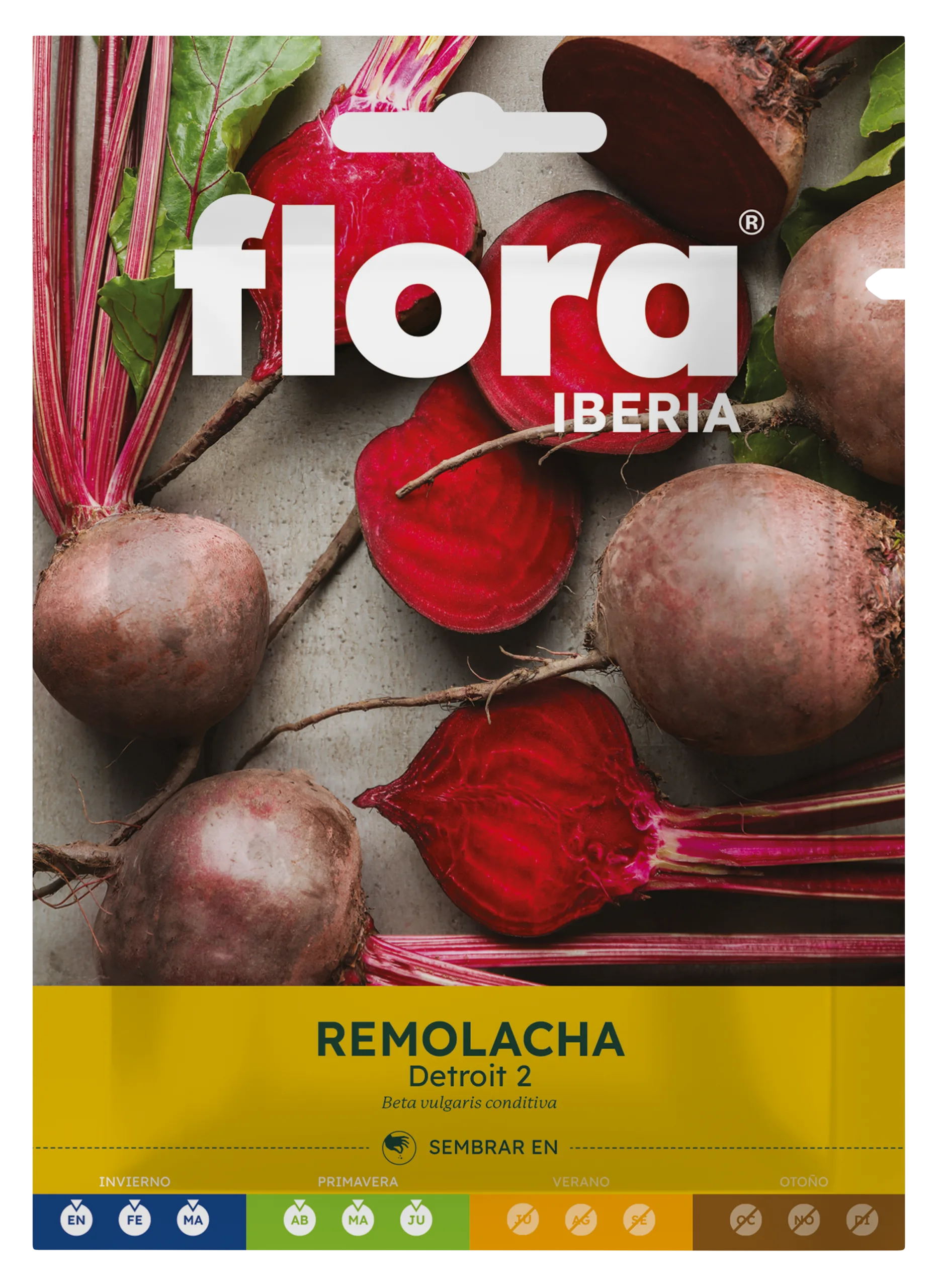 IC01131BOLS - Remolacha Detroit 2
