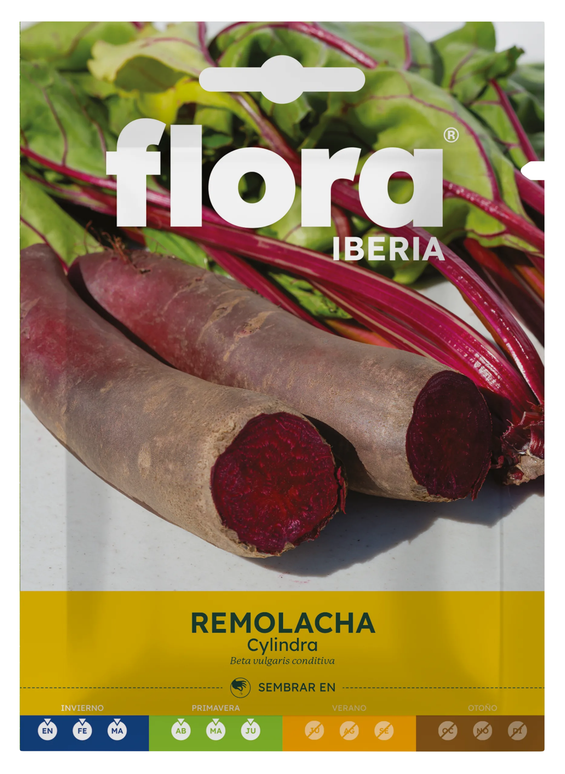 IC01132BOLS - Remolacha Cylindra