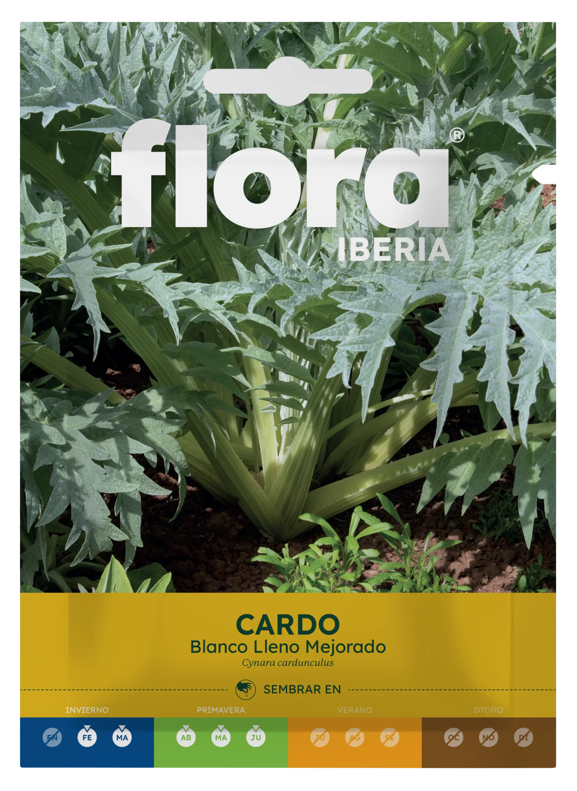 IC01139BOLS - Cardo Blanco Lleno Mejorado