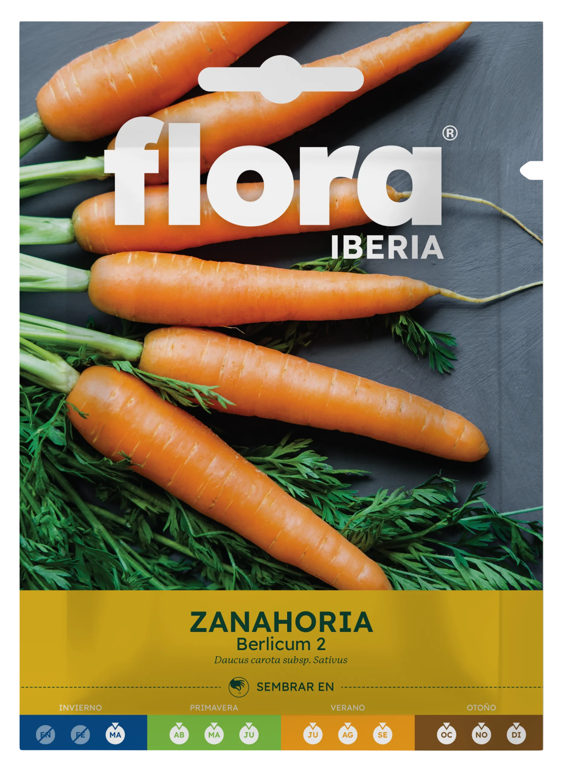 IC01222BOLS - Zanahoria Berlicum 2