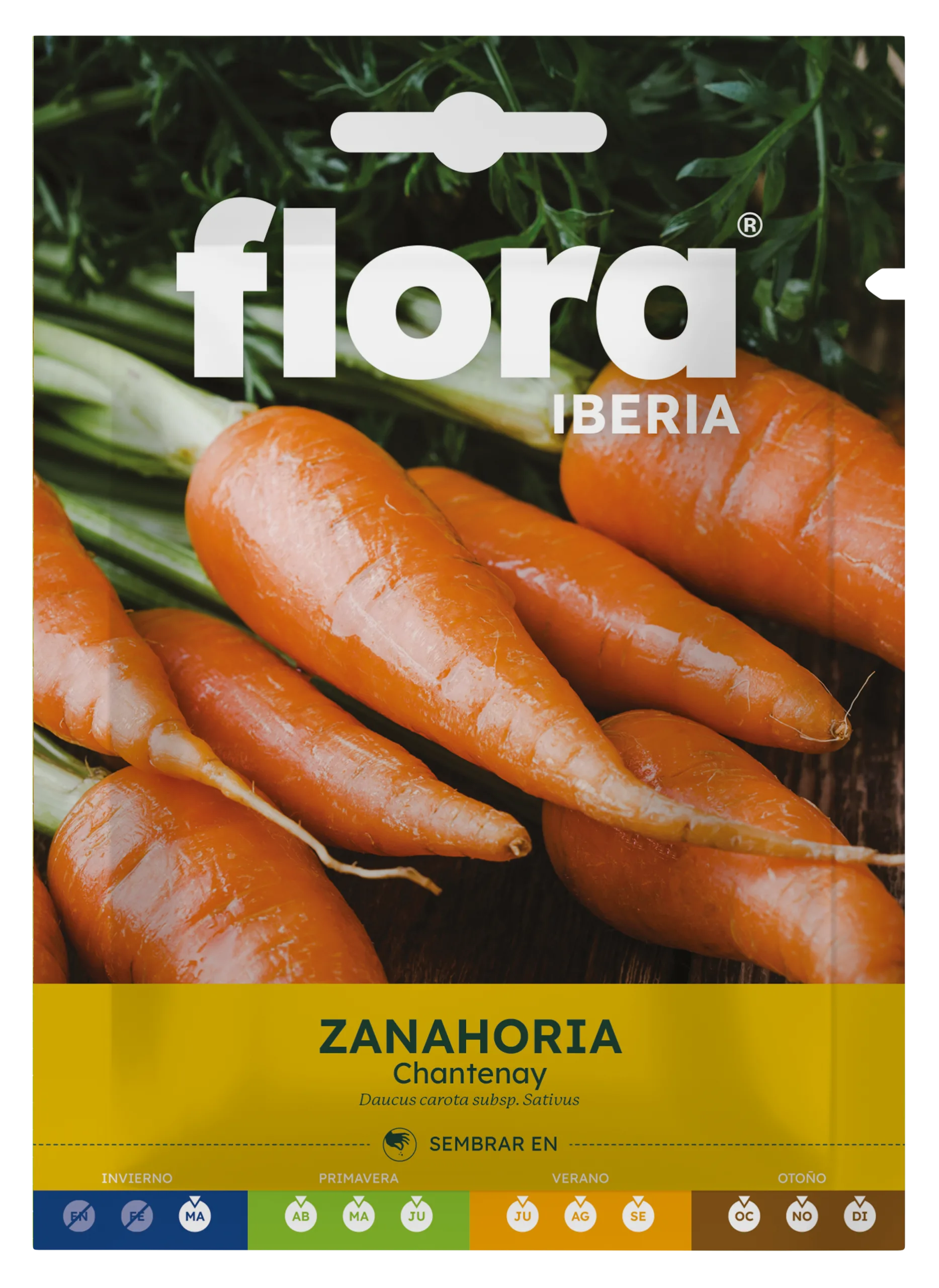 IC01223BOLS - Zanahoria Chantenay