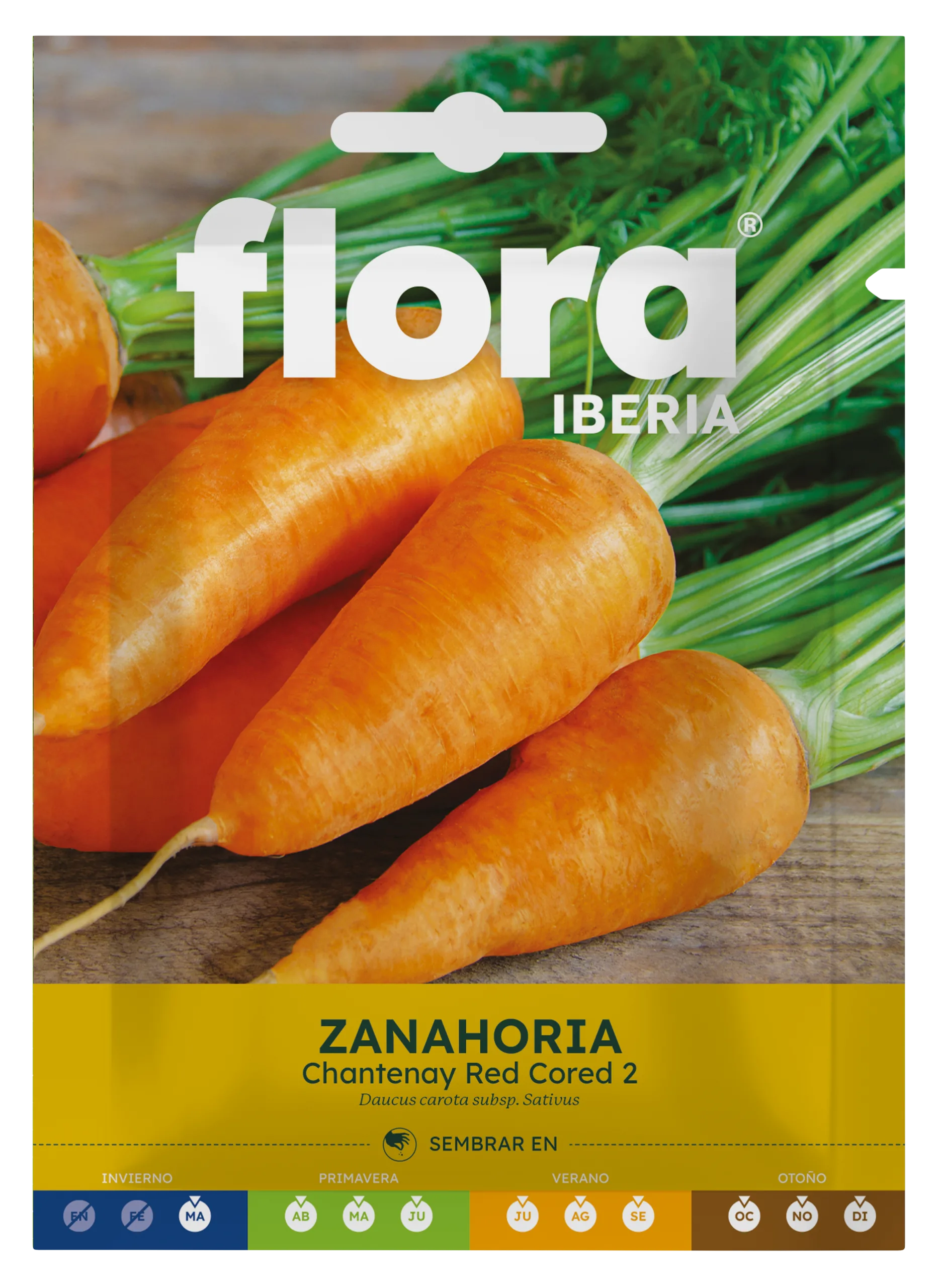 IC01224BOLS - Zanahoria Chantenay Red Cored 2