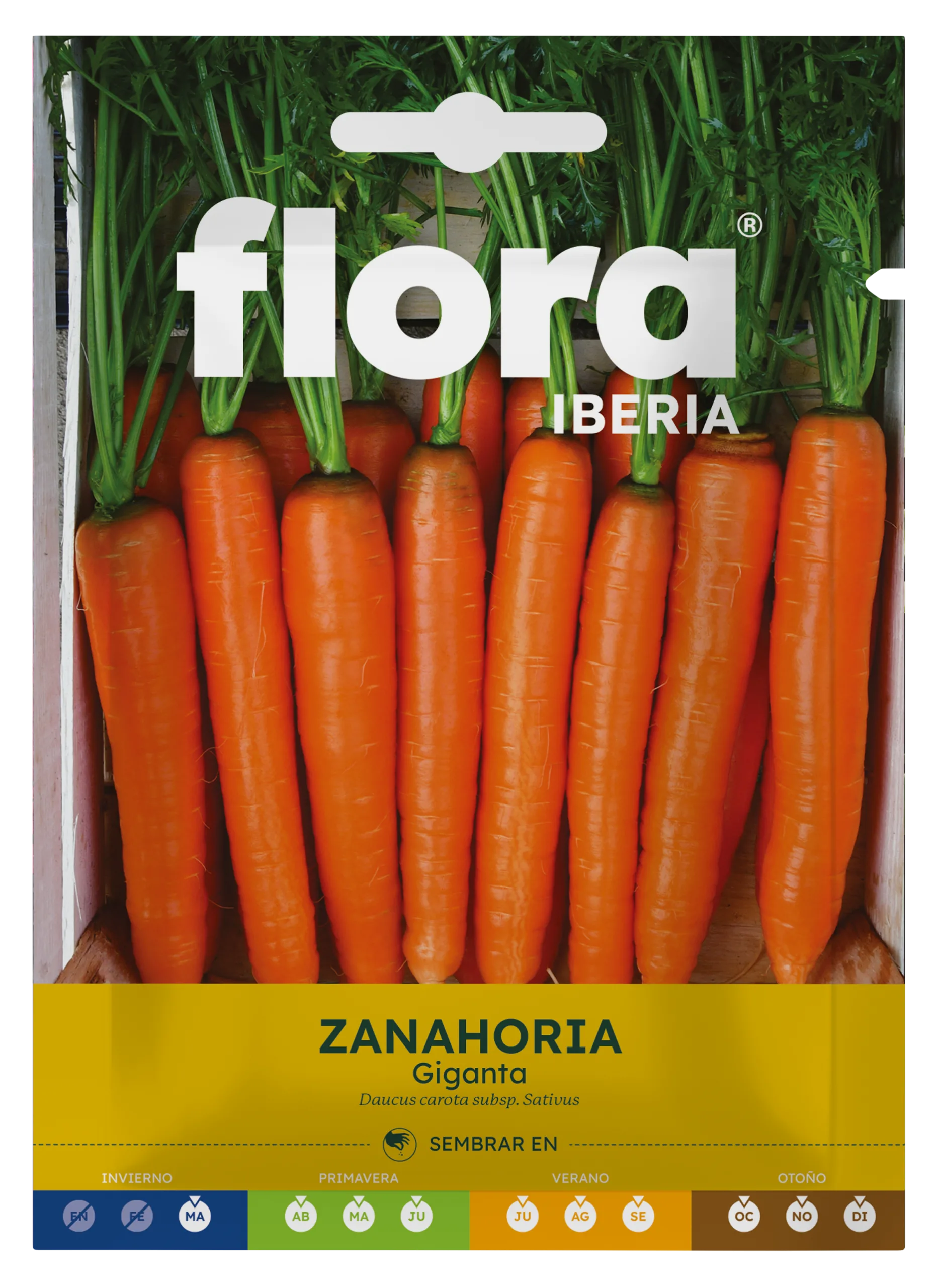 IC01225BOLS - Zanahoria Giganta
