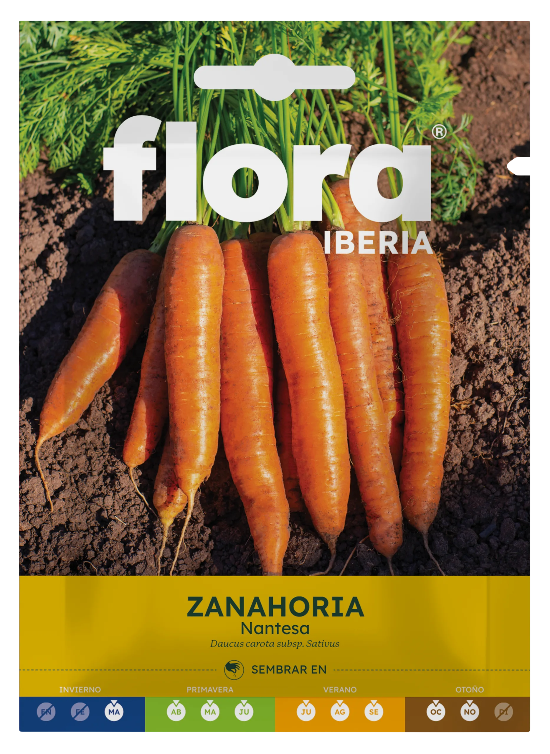IC01227BOLS - Zanahoria Nantesa