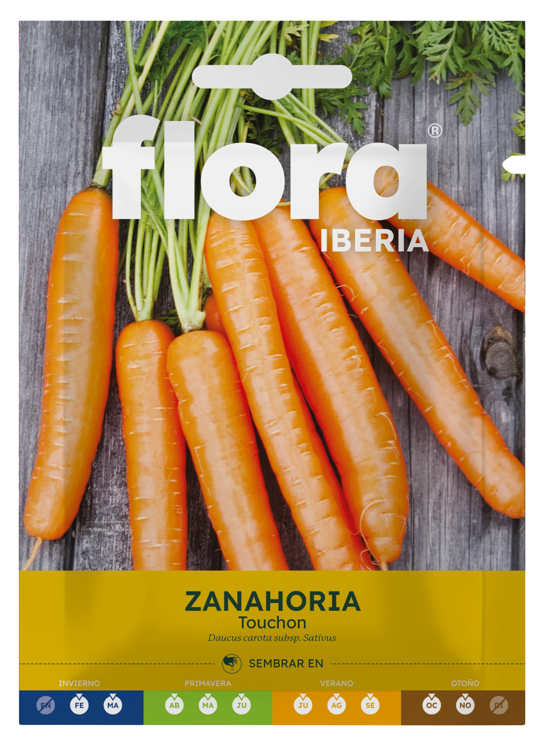 IC01228BOLS - Zanahoria Touchon