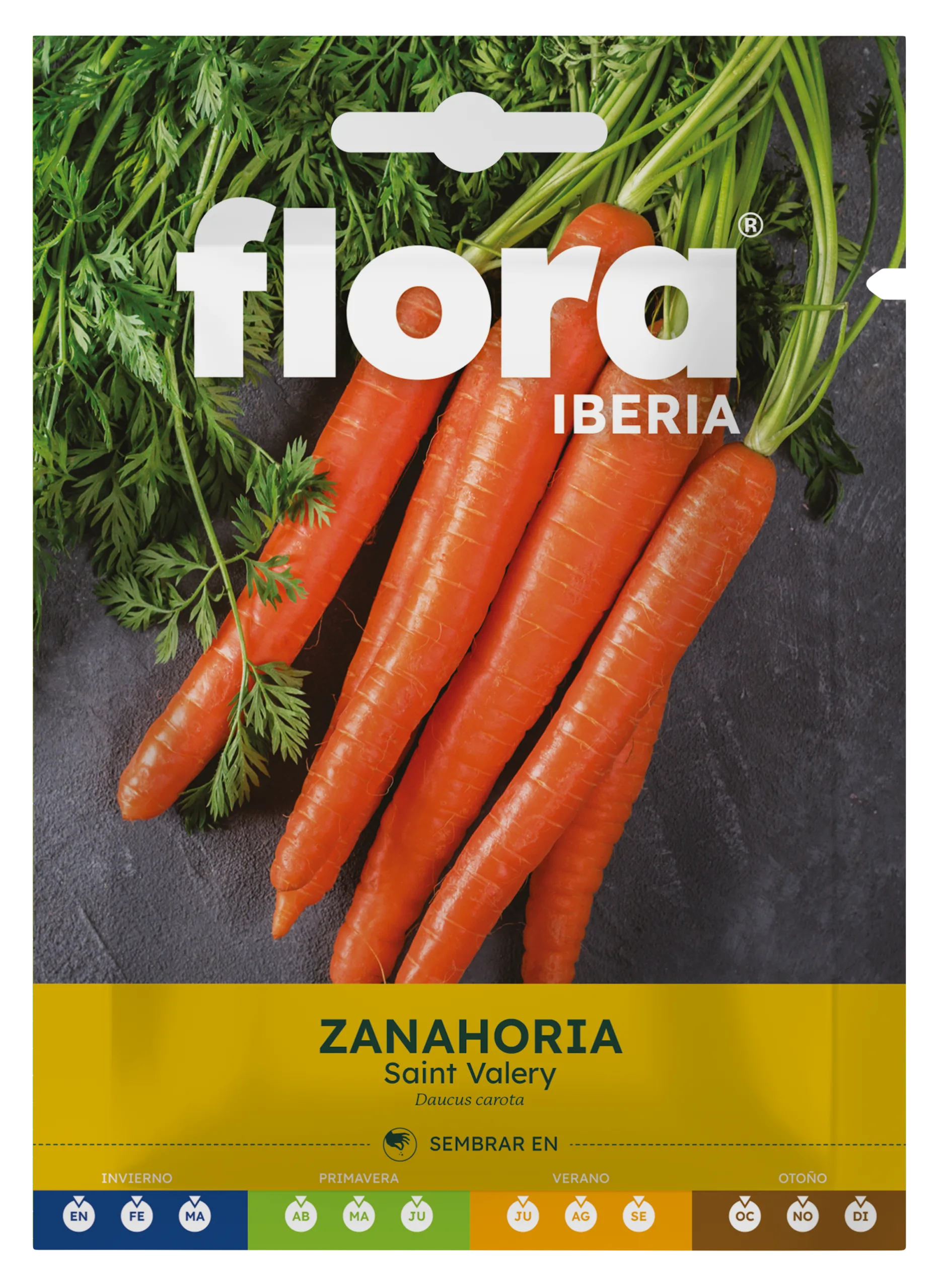 IC01232BOLS - Zanahoria Saint Valery