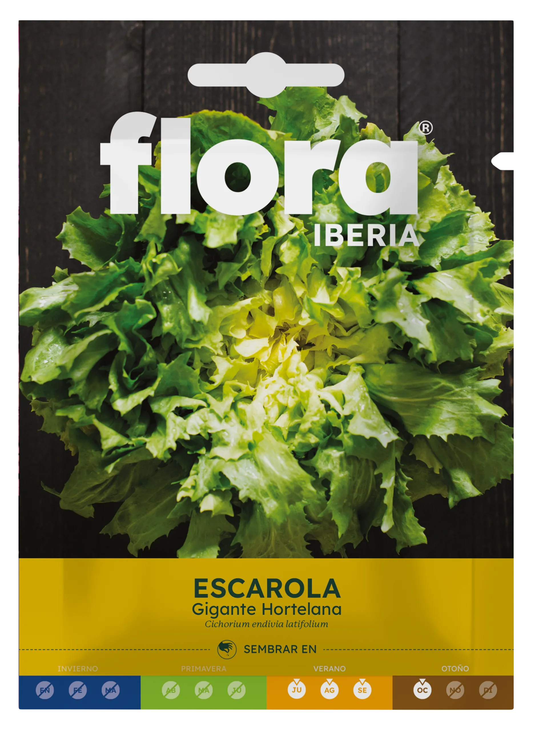 IC01251BOLS - Escarola Gigante Hortelana