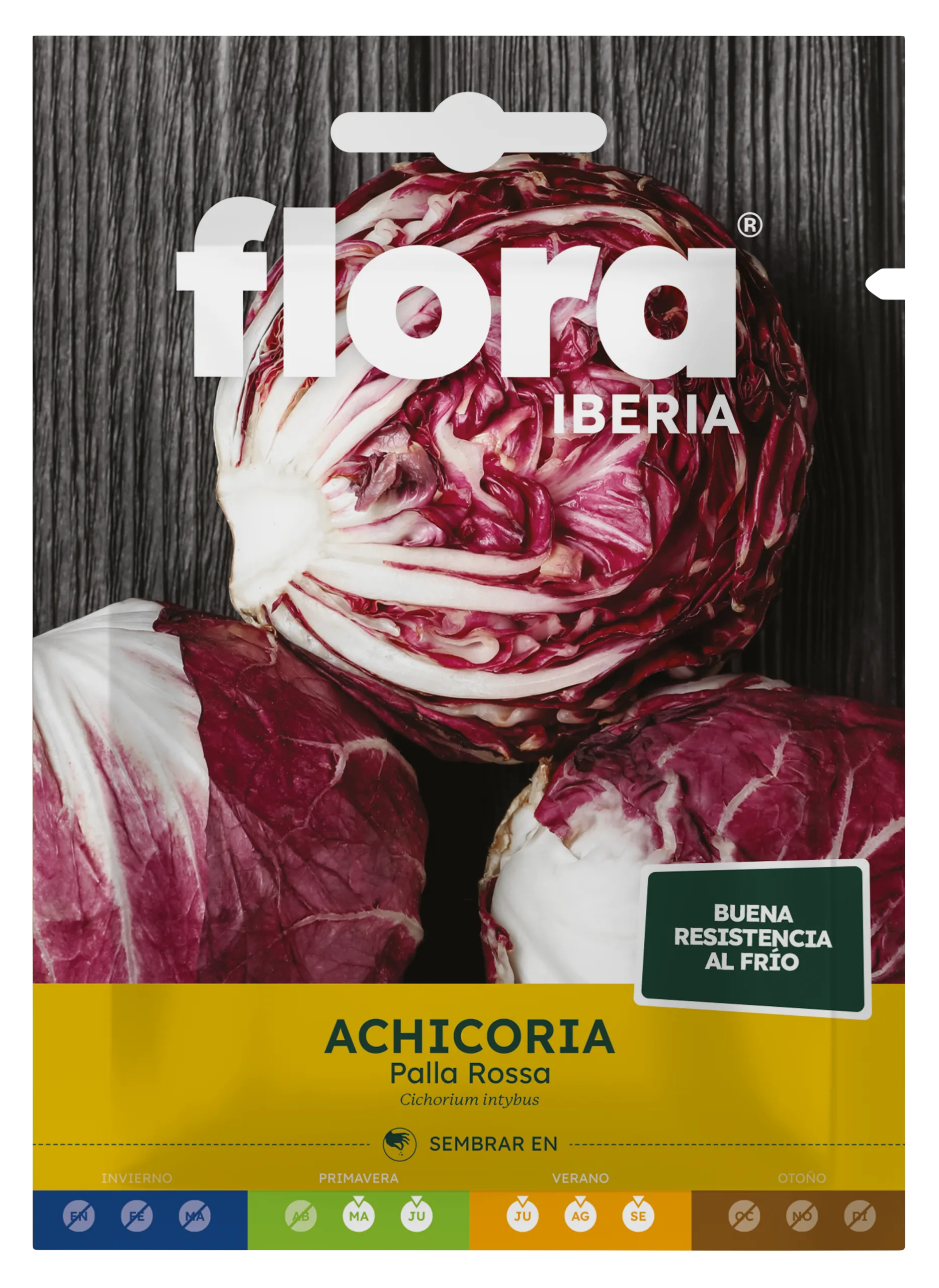 IC01256BOLS - Achicoria Palla Rossa