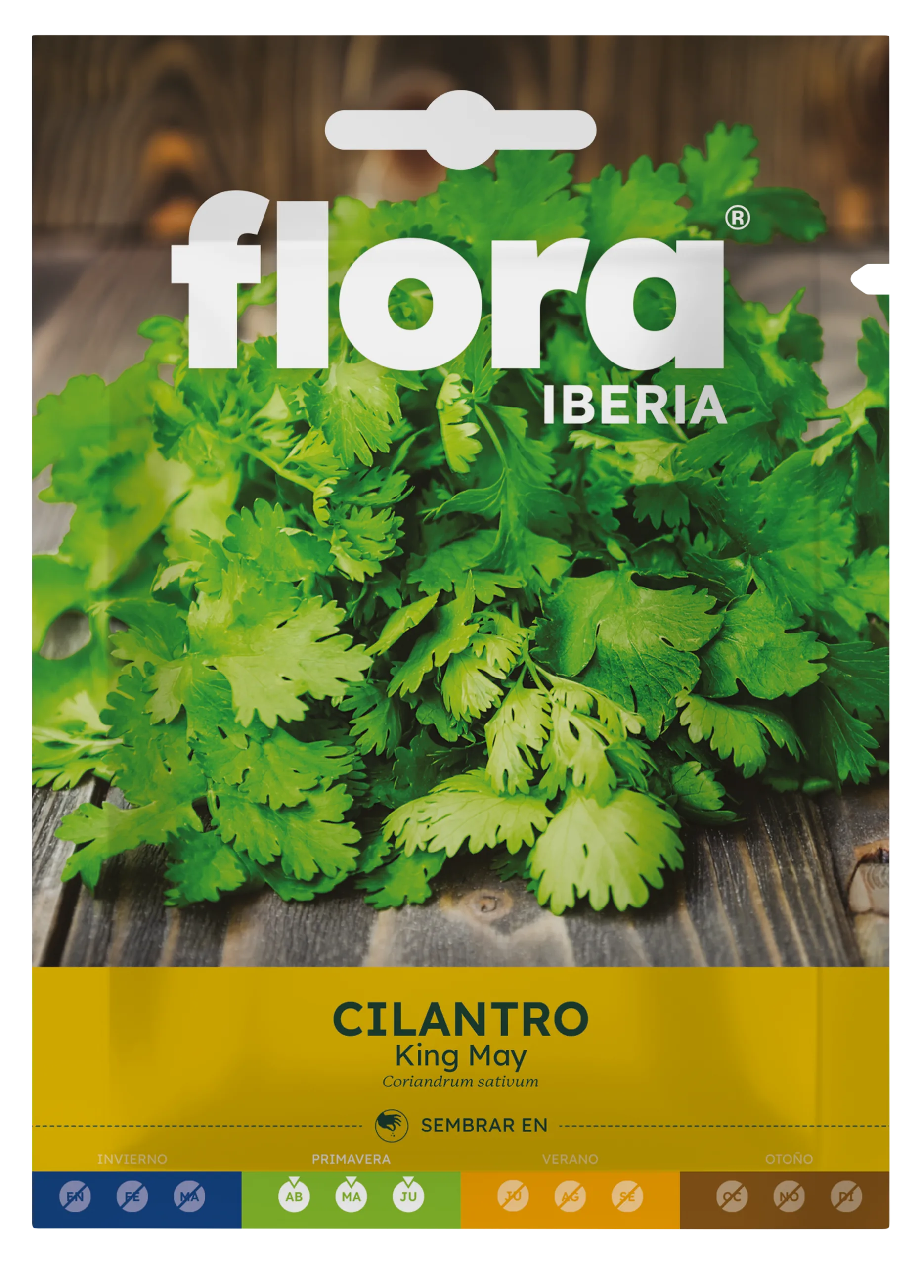 IC01263BOLS - Cilantro King May