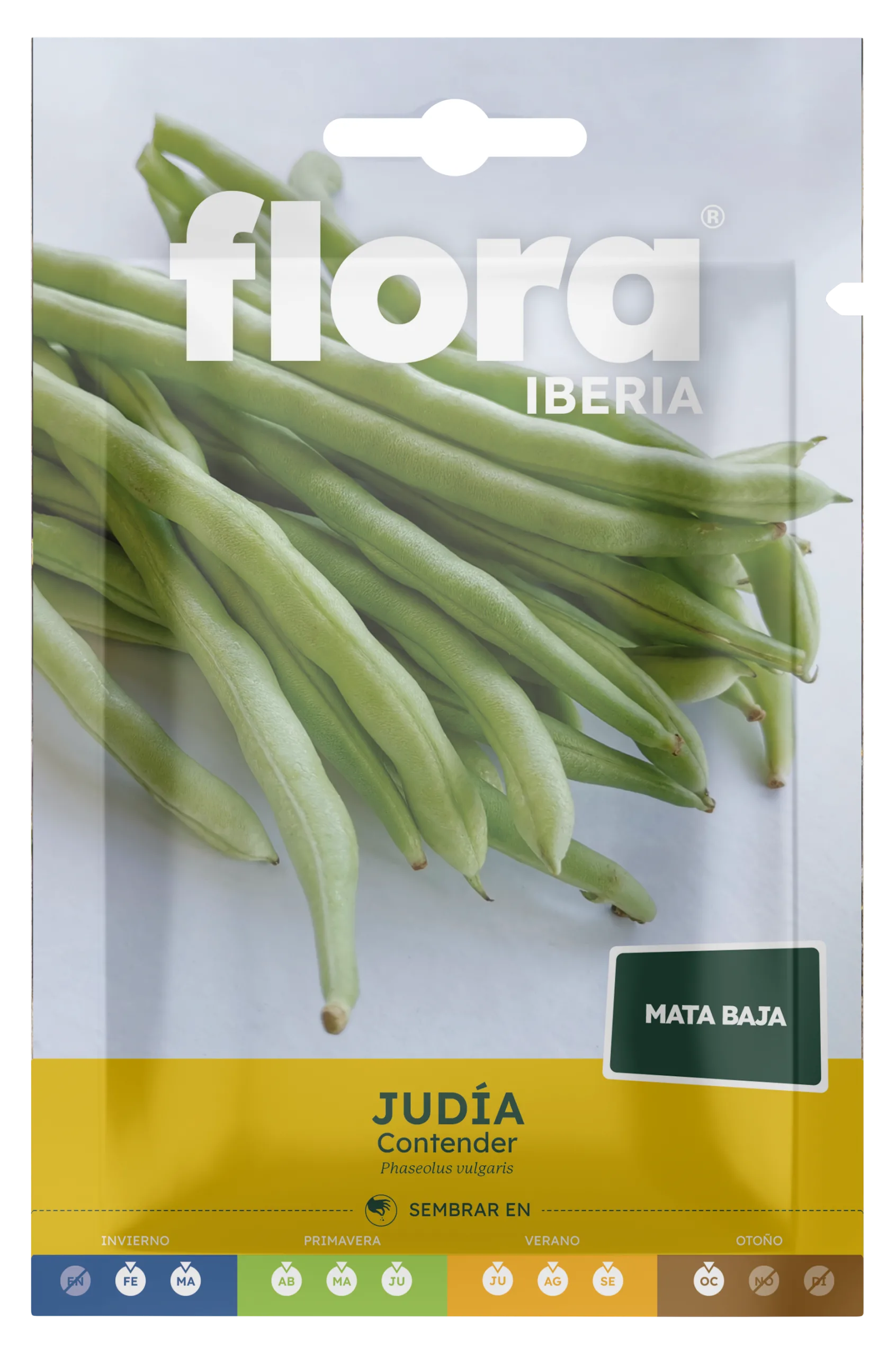 IC01367BOLS - Judía Contender