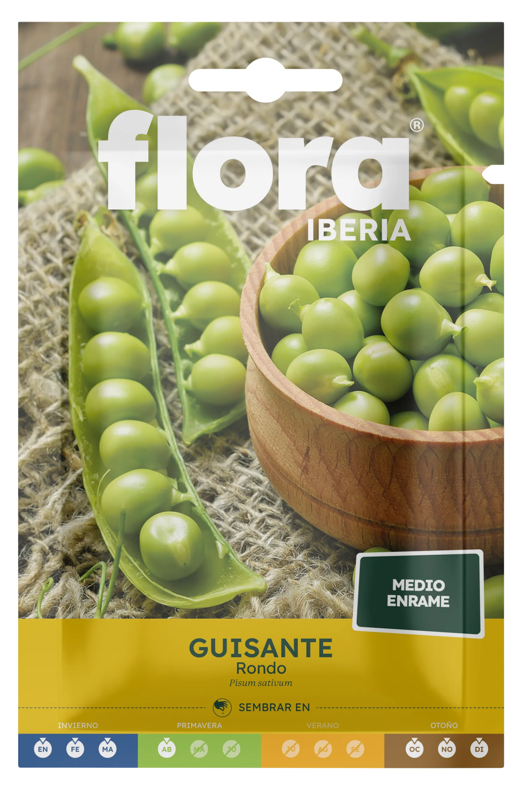 IC01523BOLS - Guisante Rondo