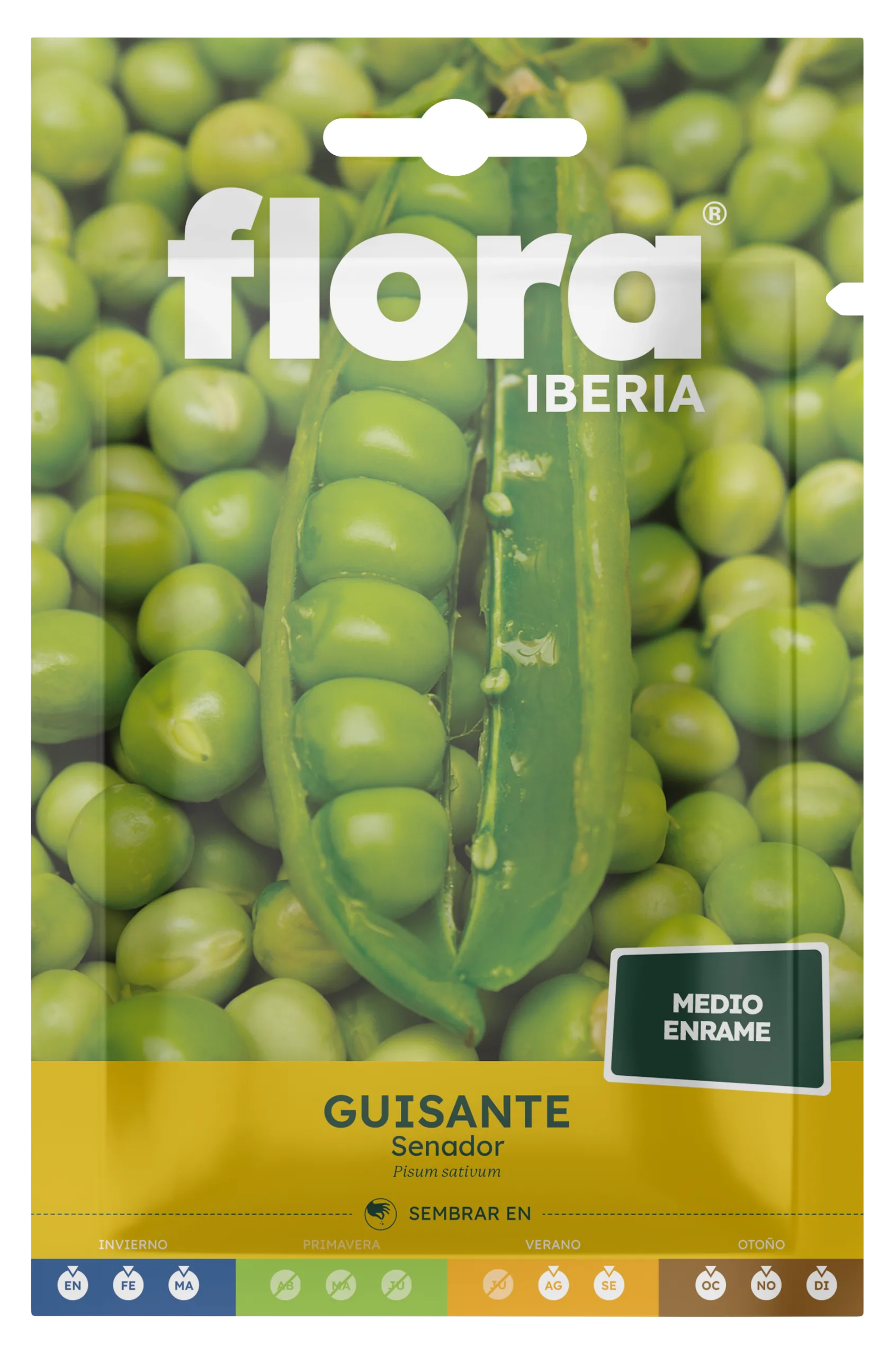 IC01536BOLS - Guisante Senador