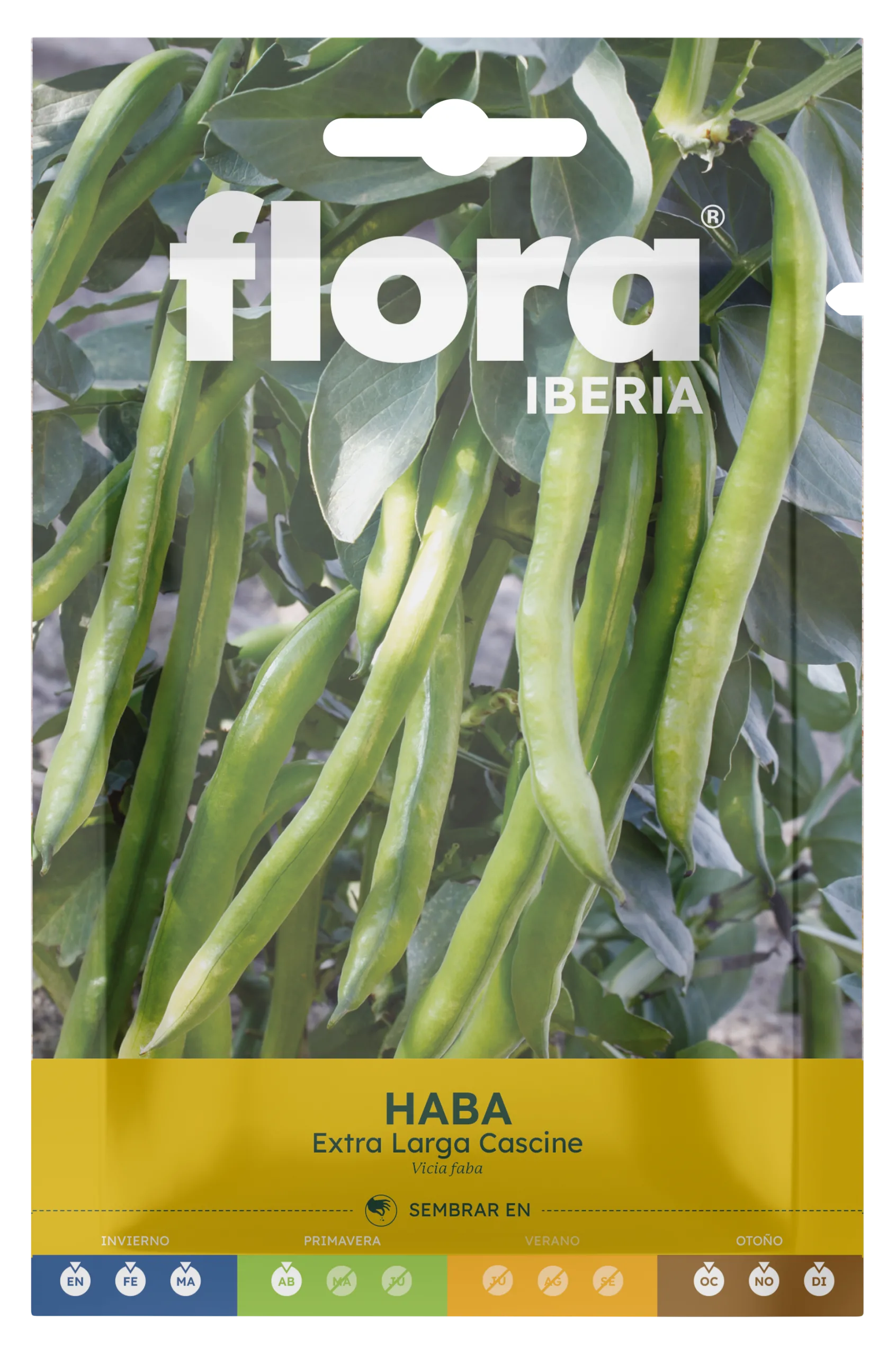 IC01604BOLS - Haba Extra Larga Cascine