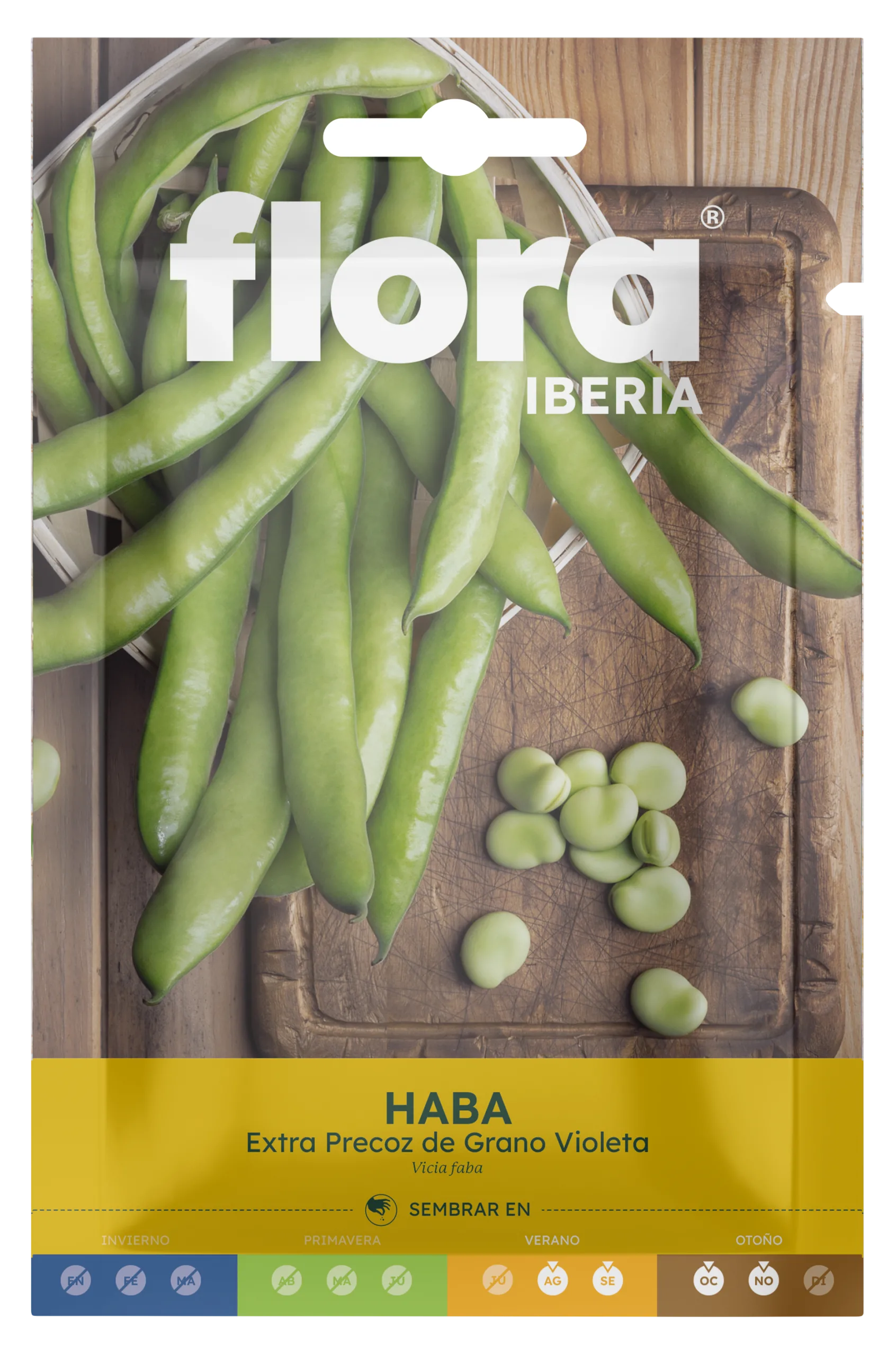IC01608BOLS - Haba Extra Precoz de Grano Violeta